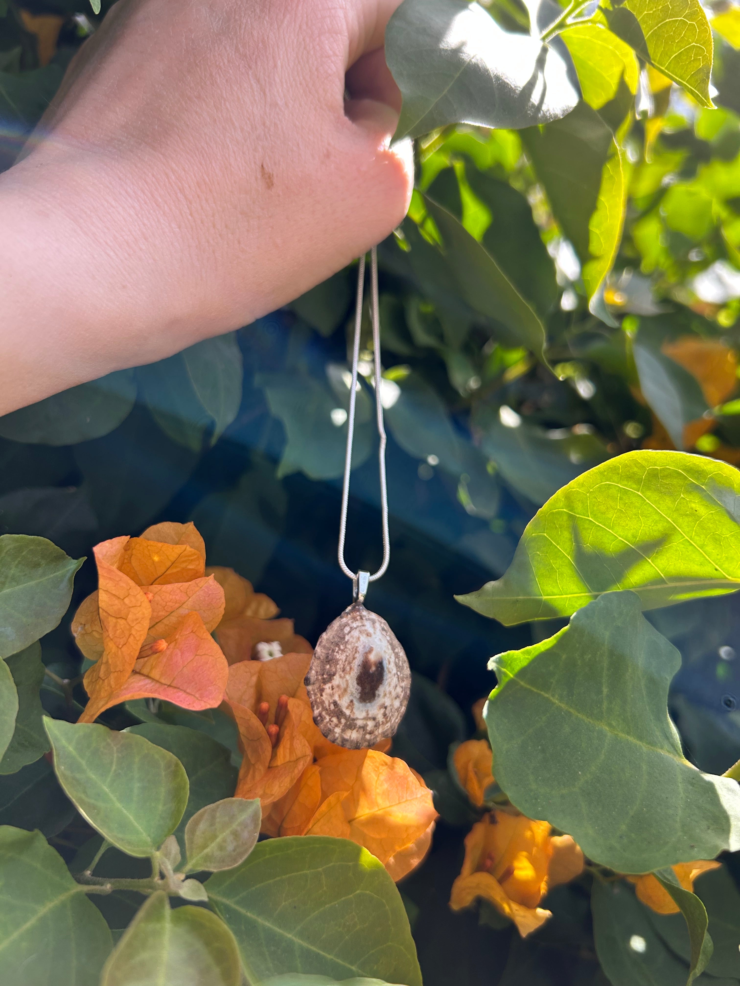 Sunlit Tide Shell Pendant