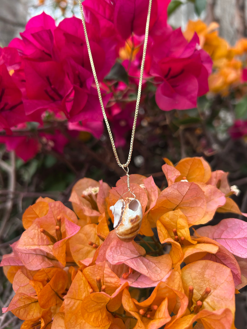 Moon Snail Shell Pendant