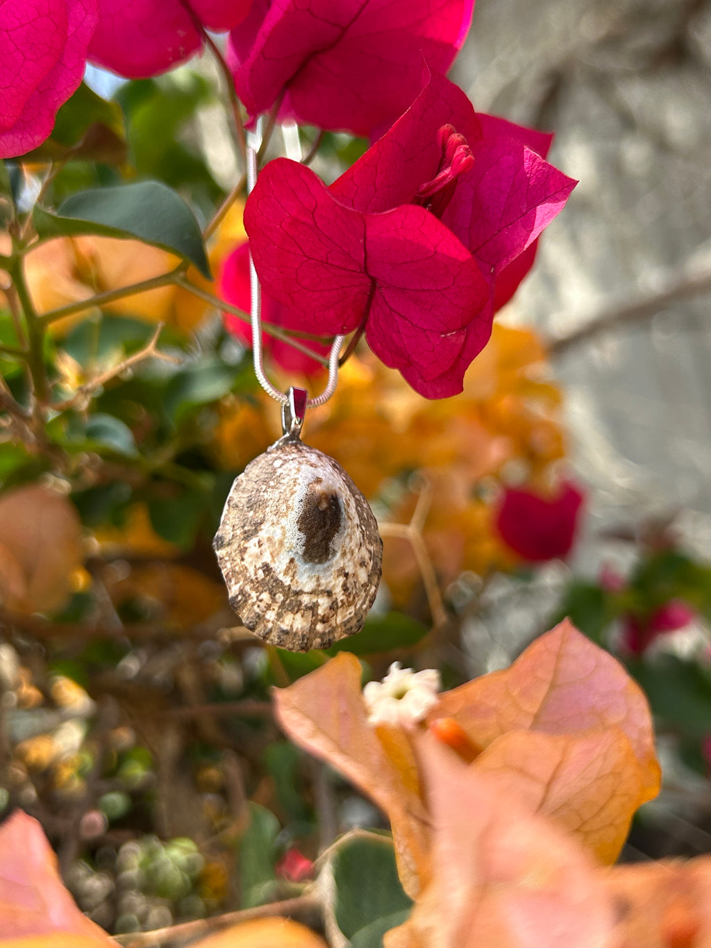 Sunlit Tide Shell Pendant