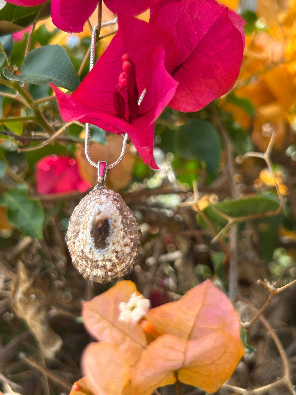 Sunlit Tide Shell Pendant