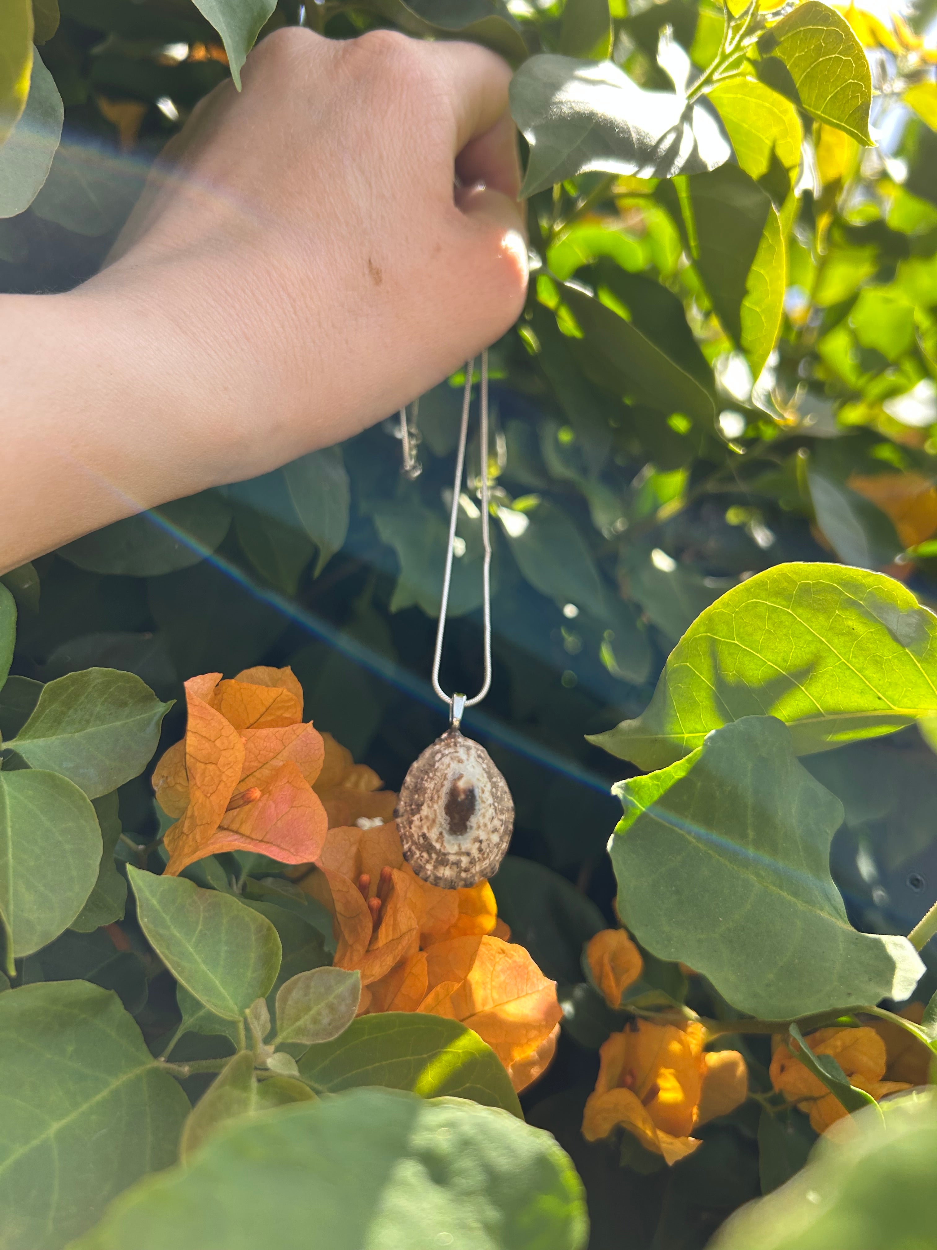 Sunlit Tide Shell Pendant