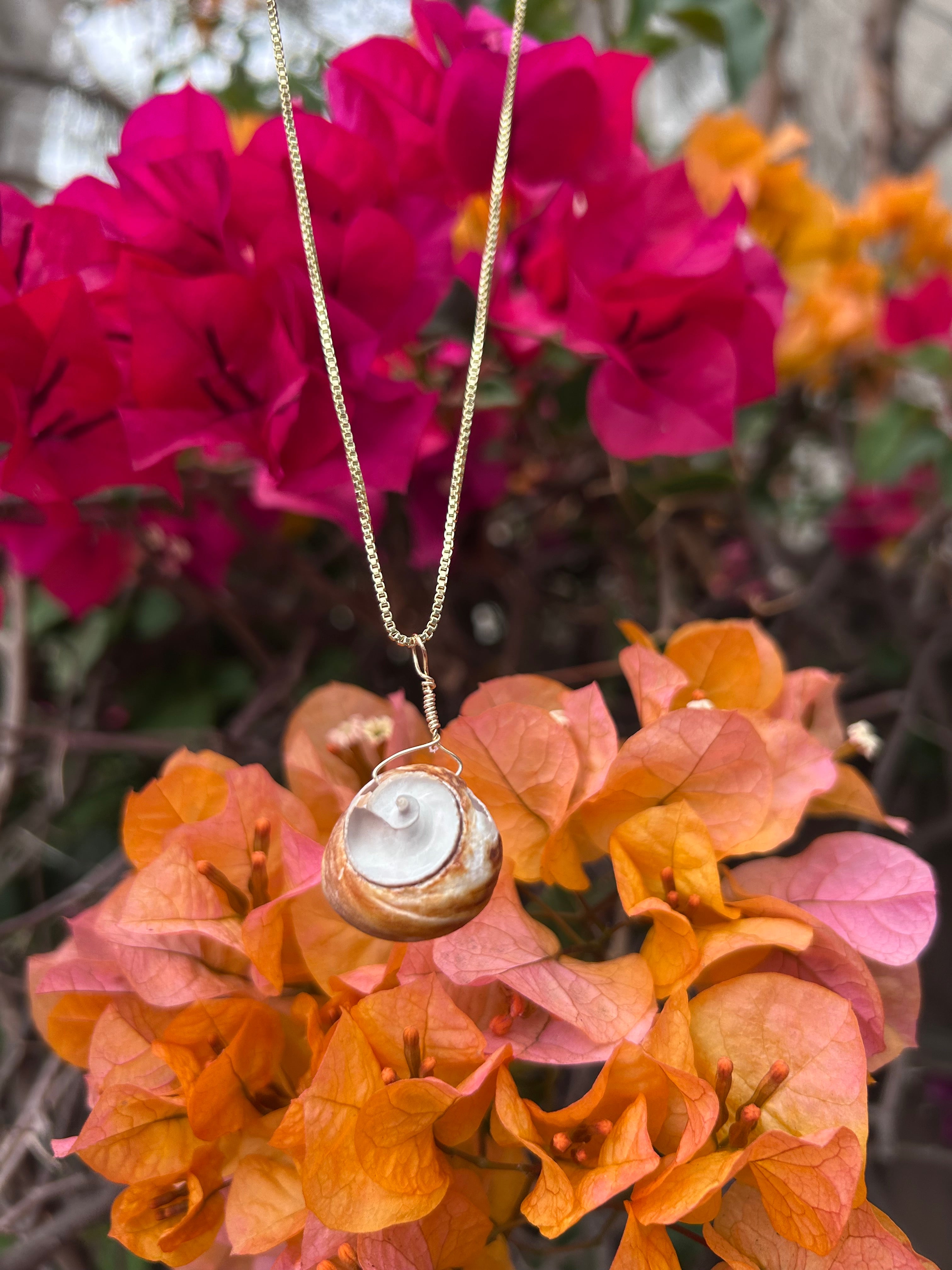 Moon Snail Shell Pendant