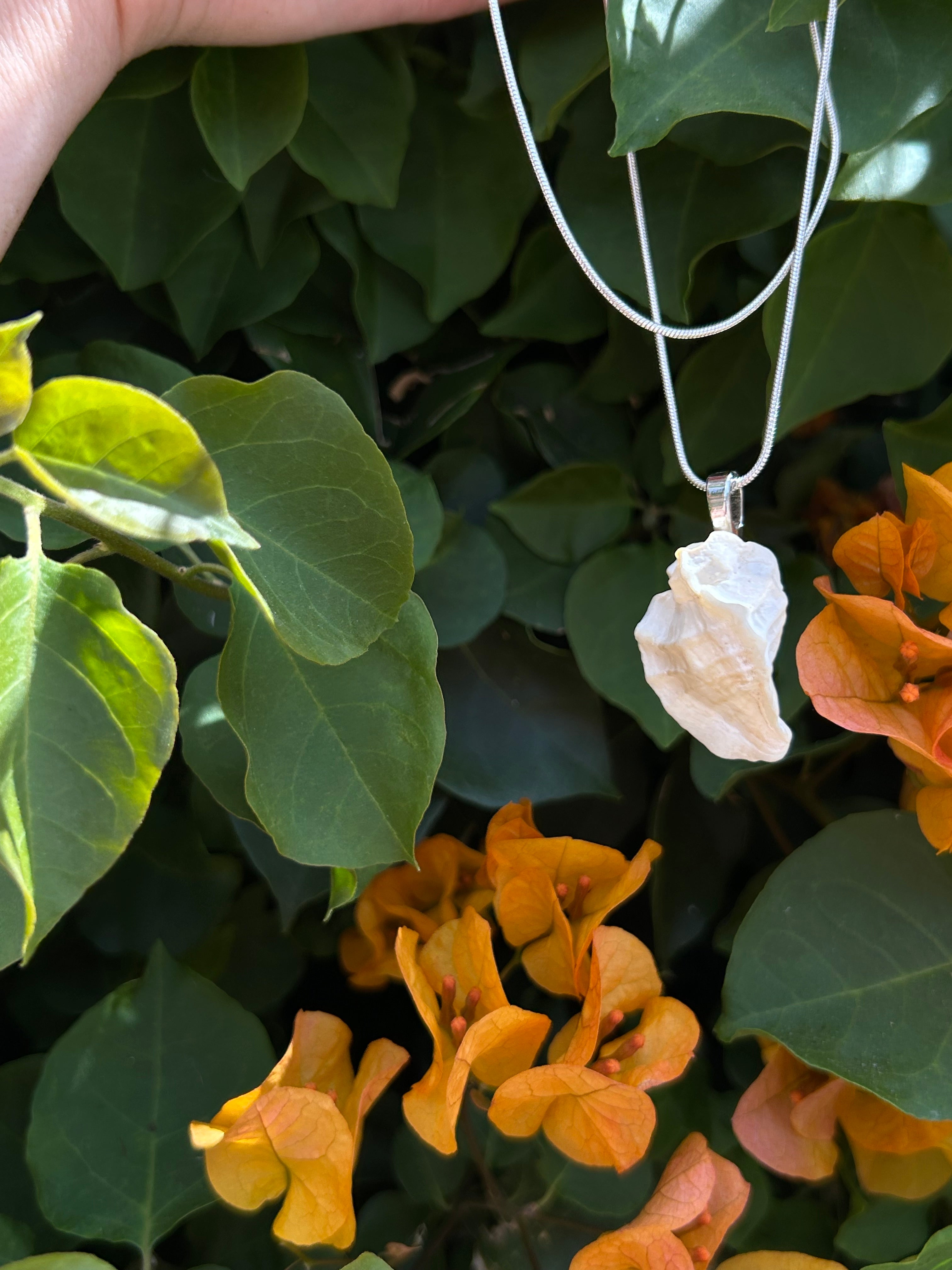Ocean Whisper Shell Pendant