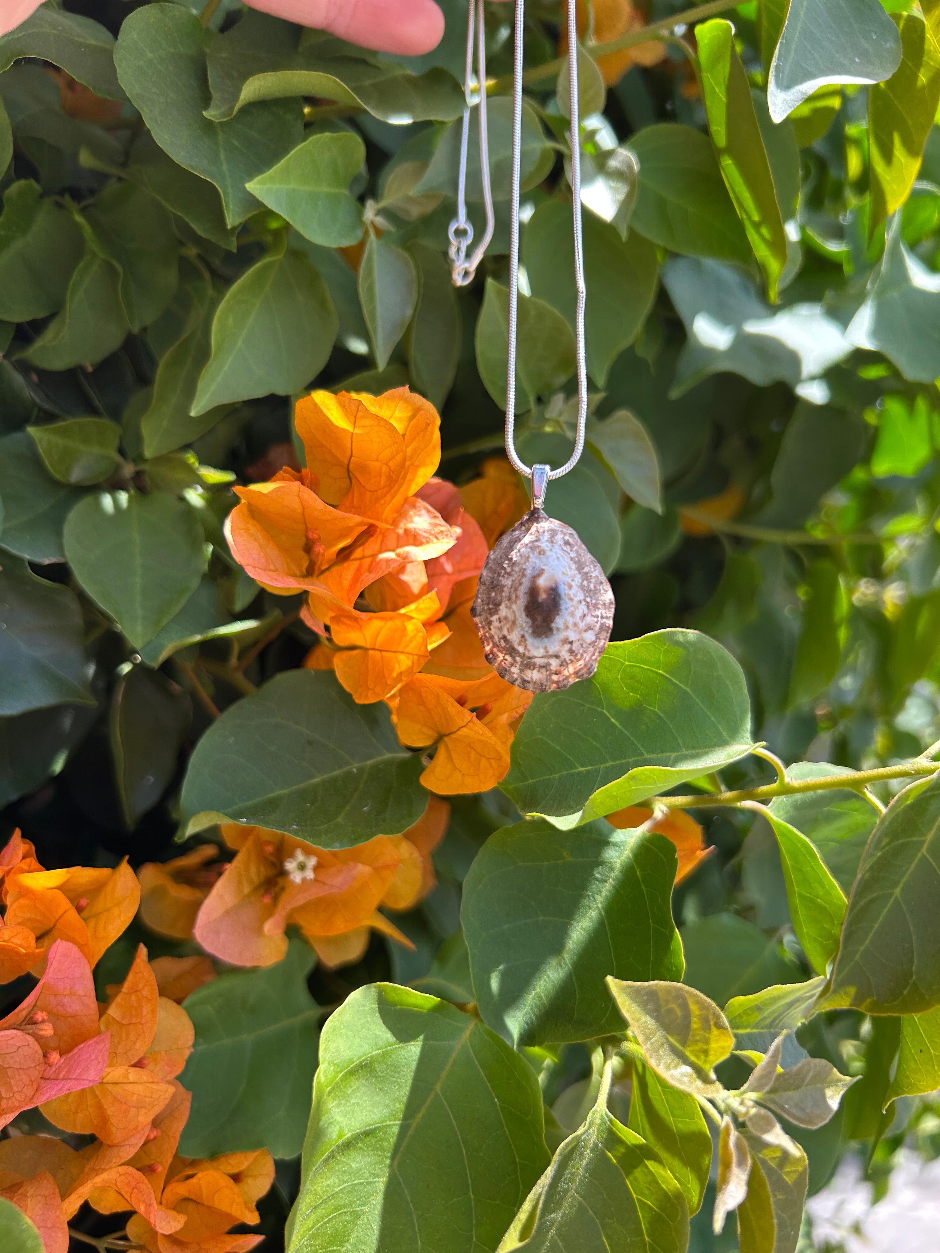 Sunlit Tide Shell Pendant