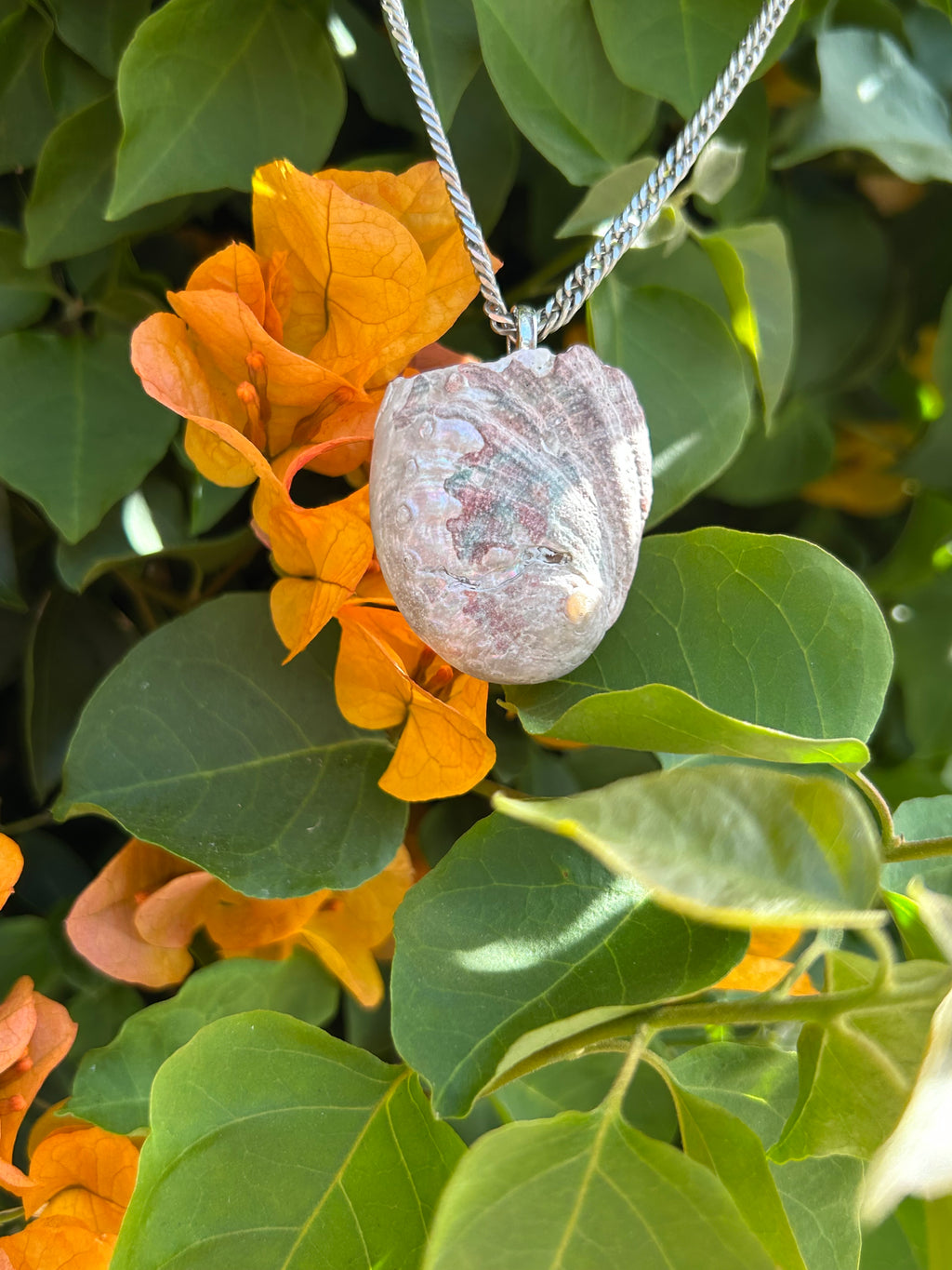 Pacific Tide Abalone Shell Pendant