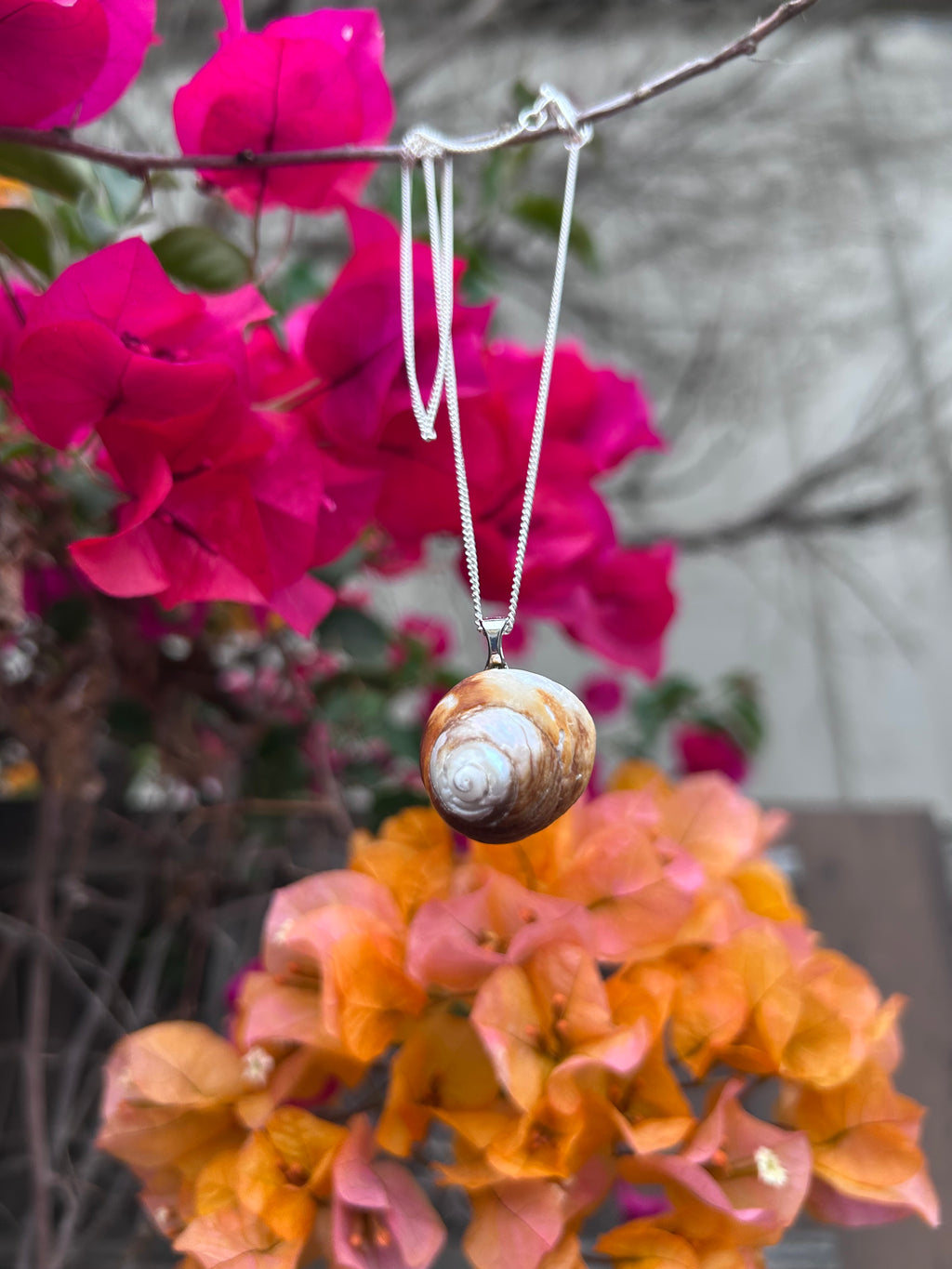 Coastal Drift Shell Pendant