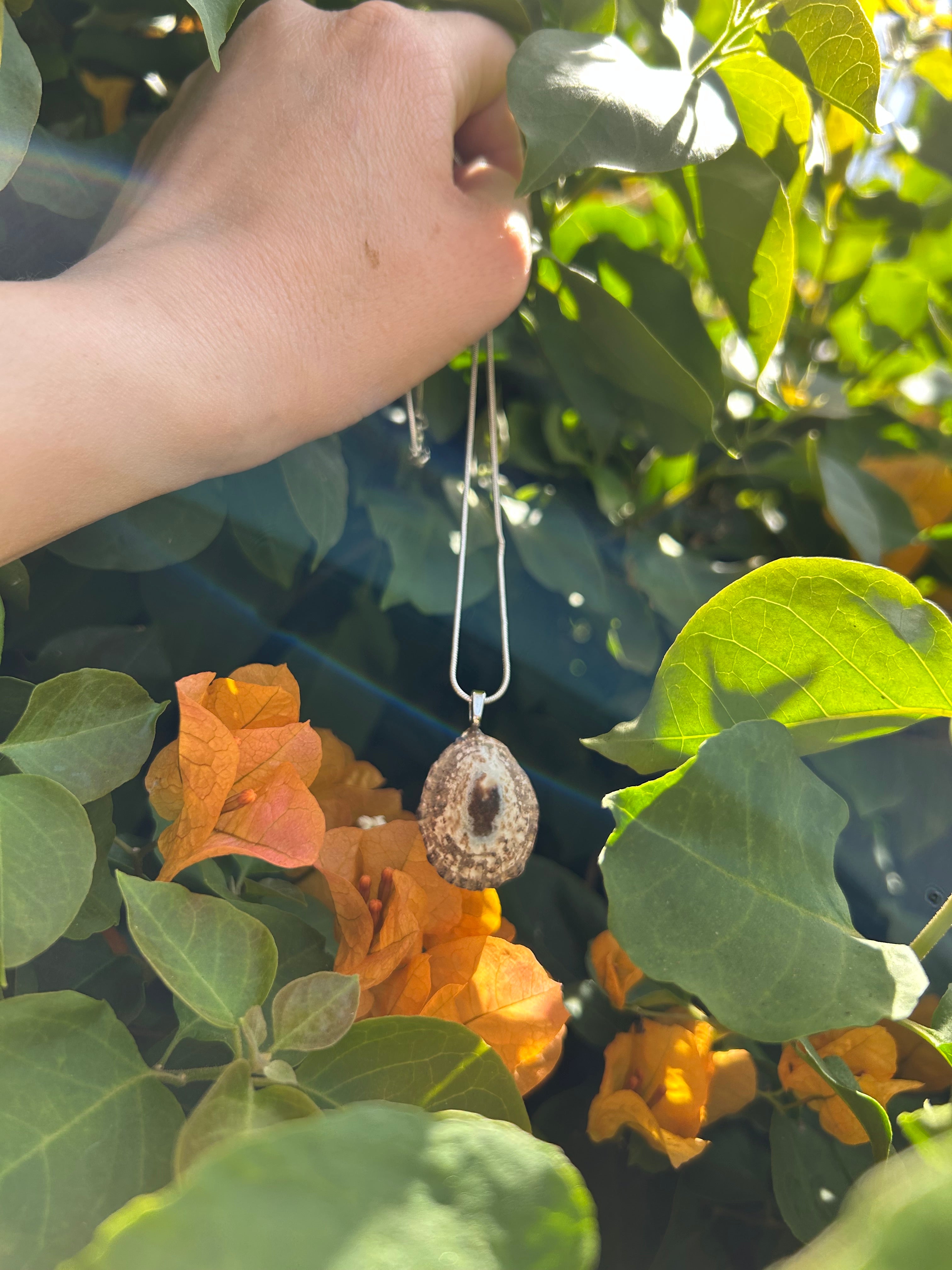Sunlit Tide Shell Pendant