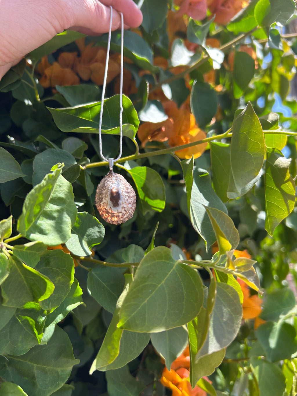 Sunlit Tide Shell Pendant