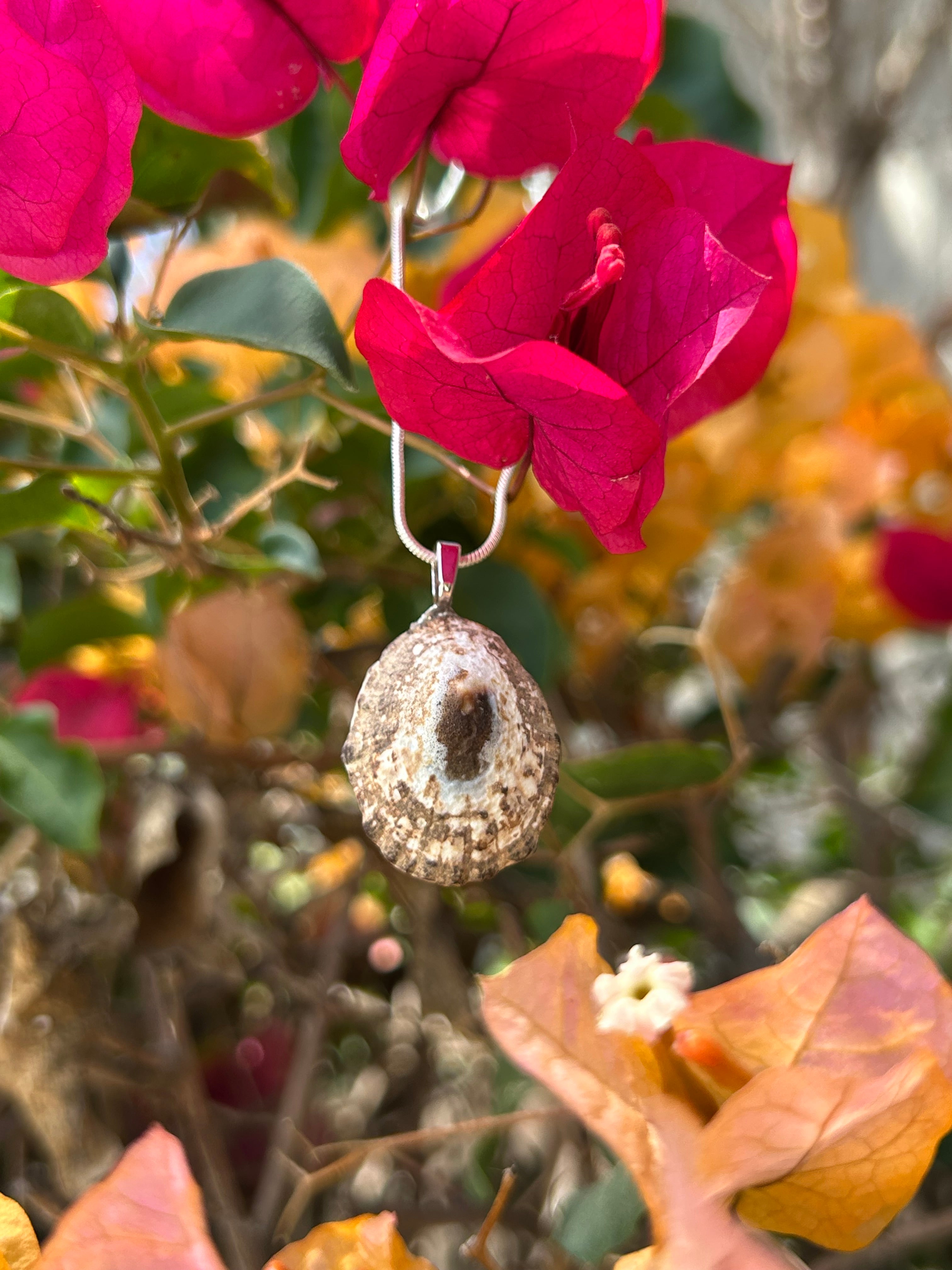 Sunlit Tide Shell Pendant