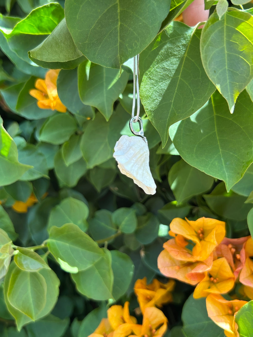 Ocean Whisper Shell Pendant
