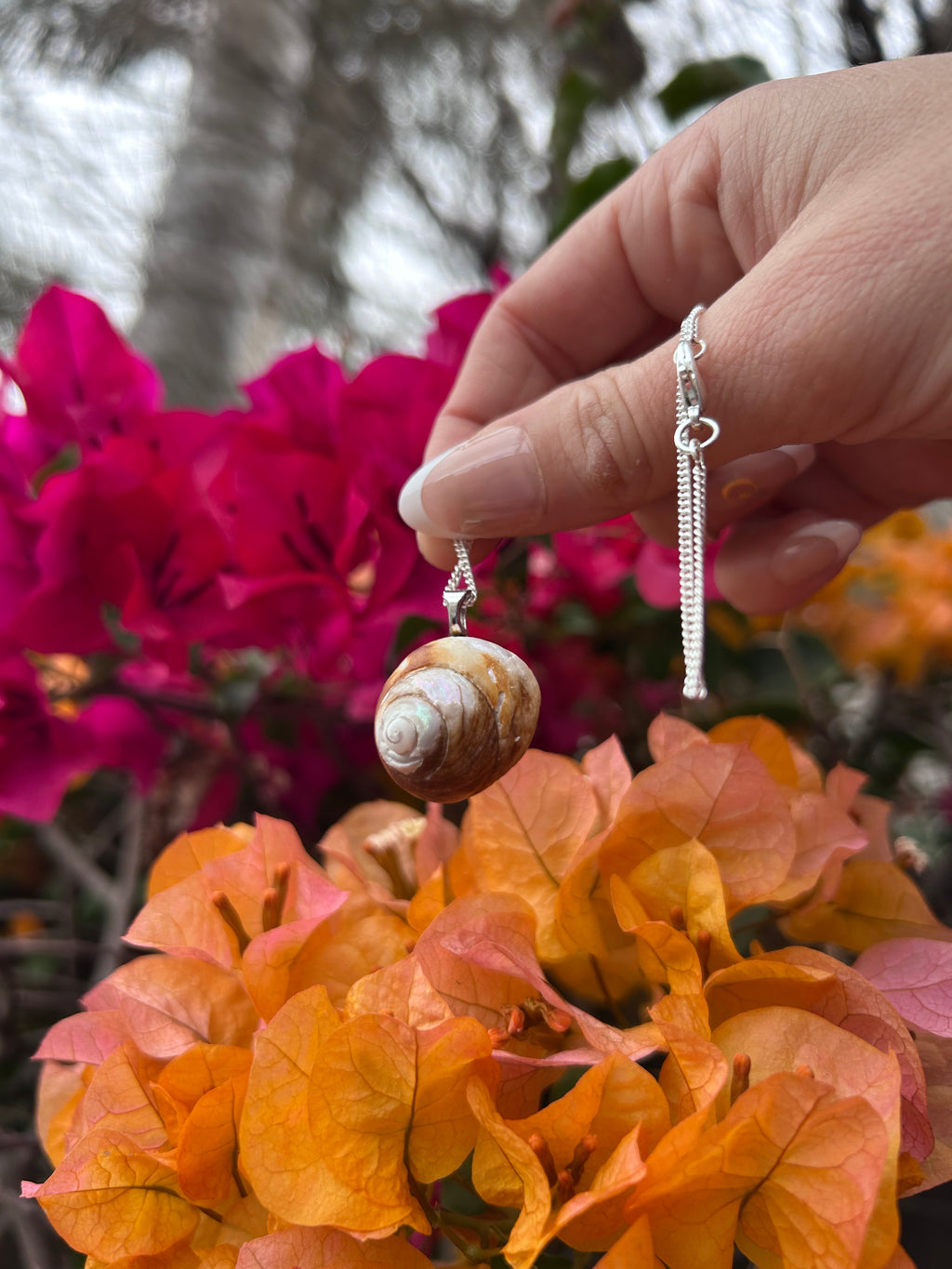 Coastal Drift Shell Pendant