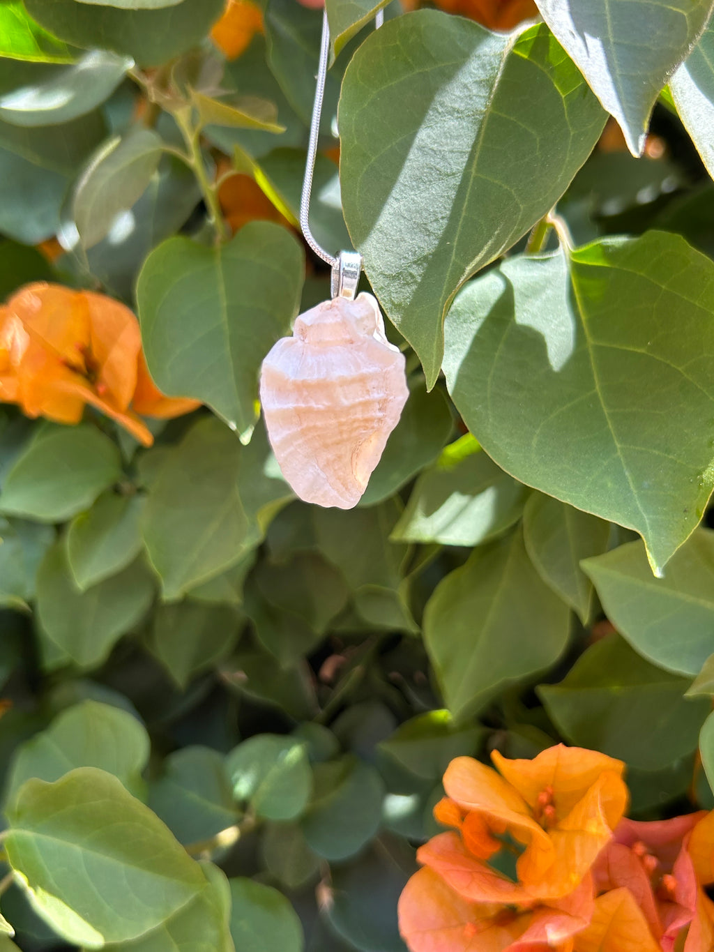 Ocean Whisper Shell Pendant