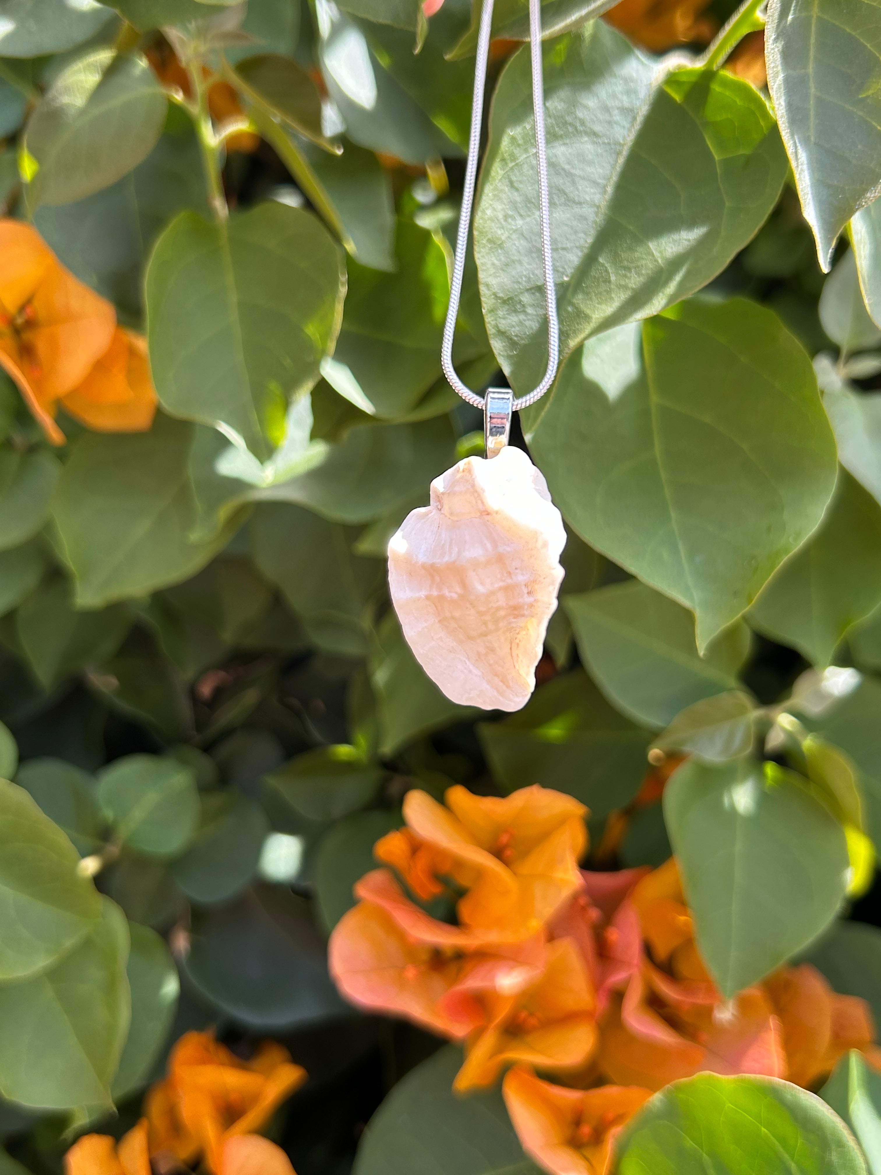 Ocean Whisper Shell Pendant