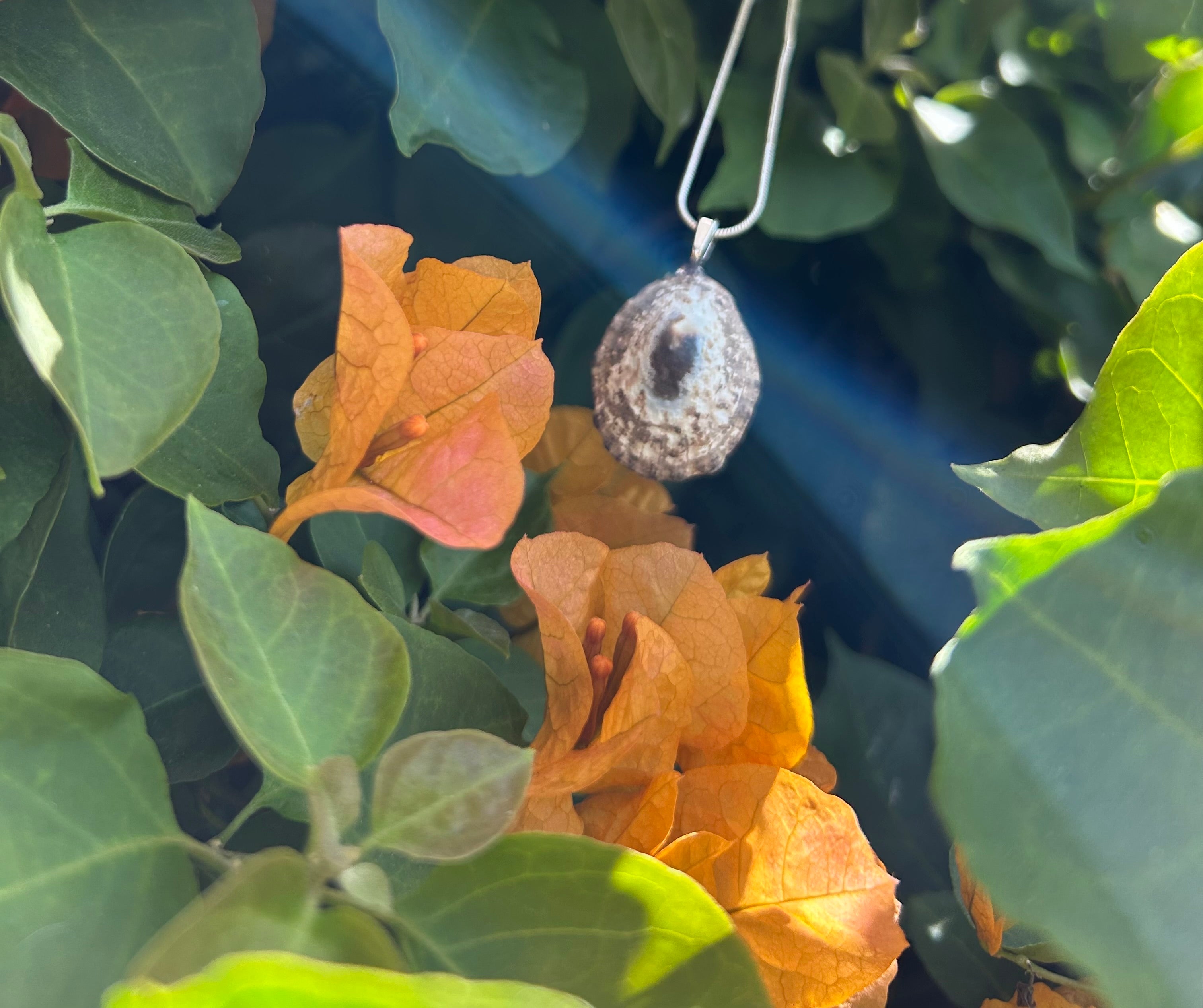 Sunlit Tide Shell Pendant