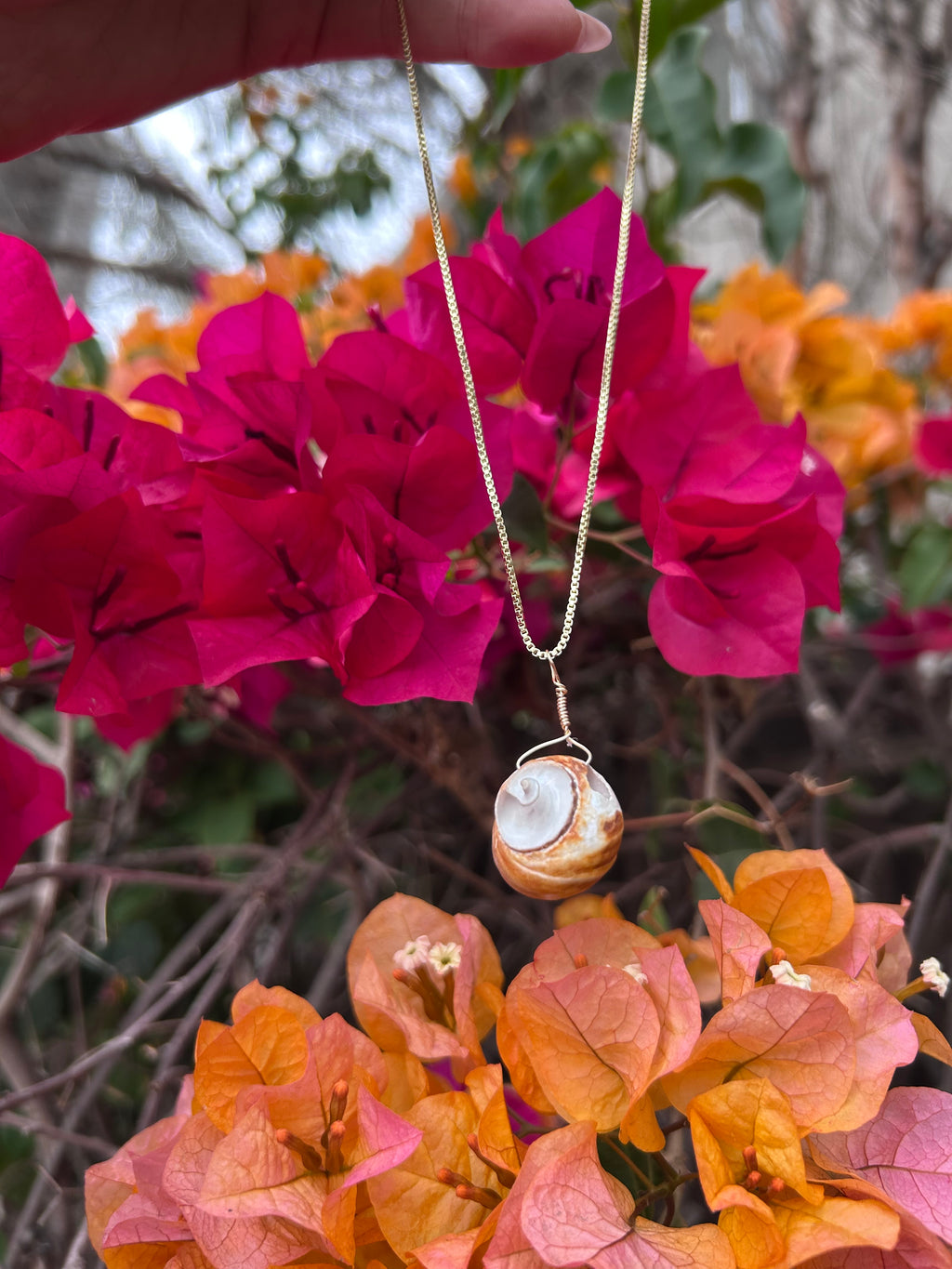 Moon Snail Shell Pendant