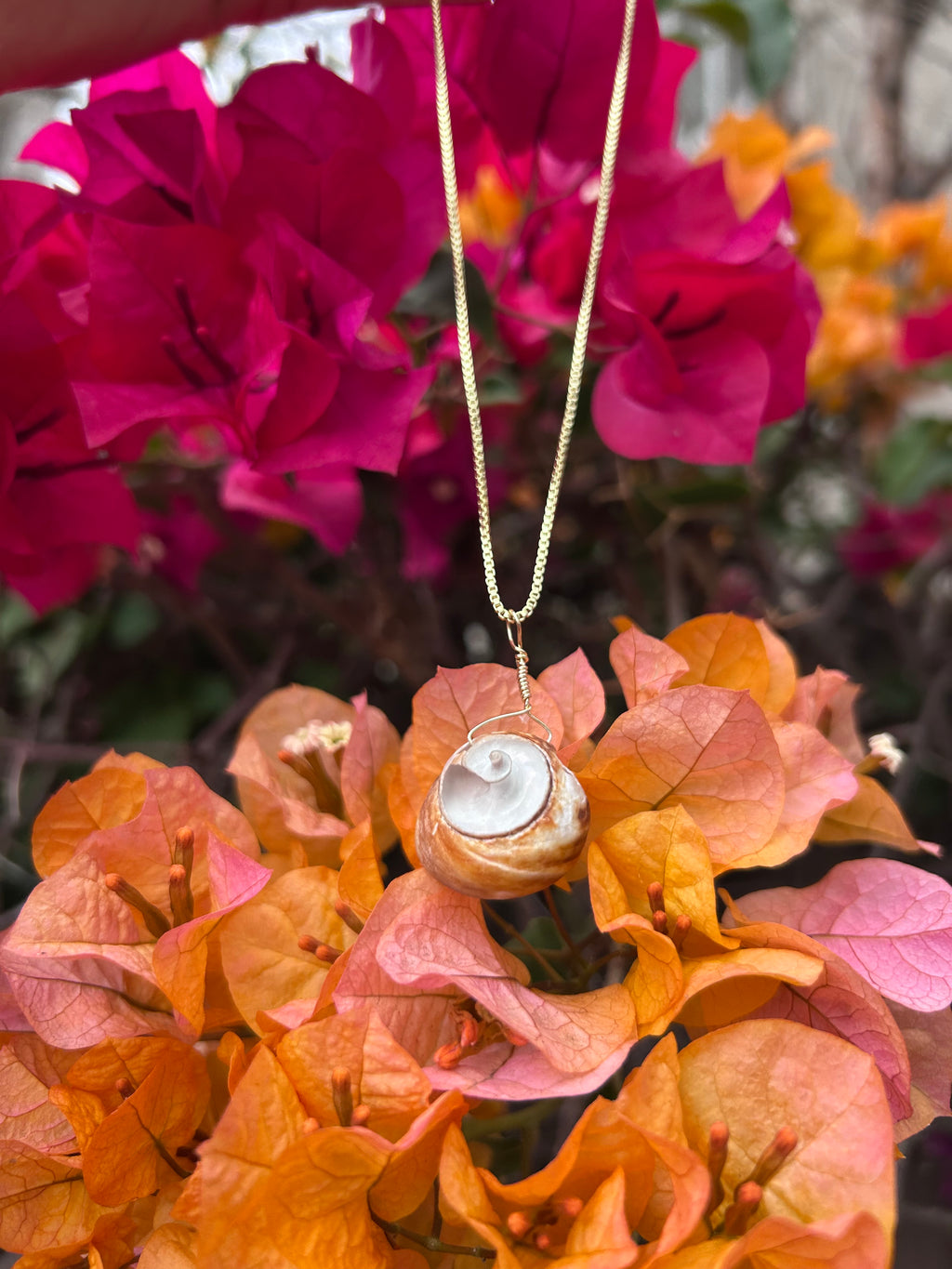 Moon Snail Shell Pendant
