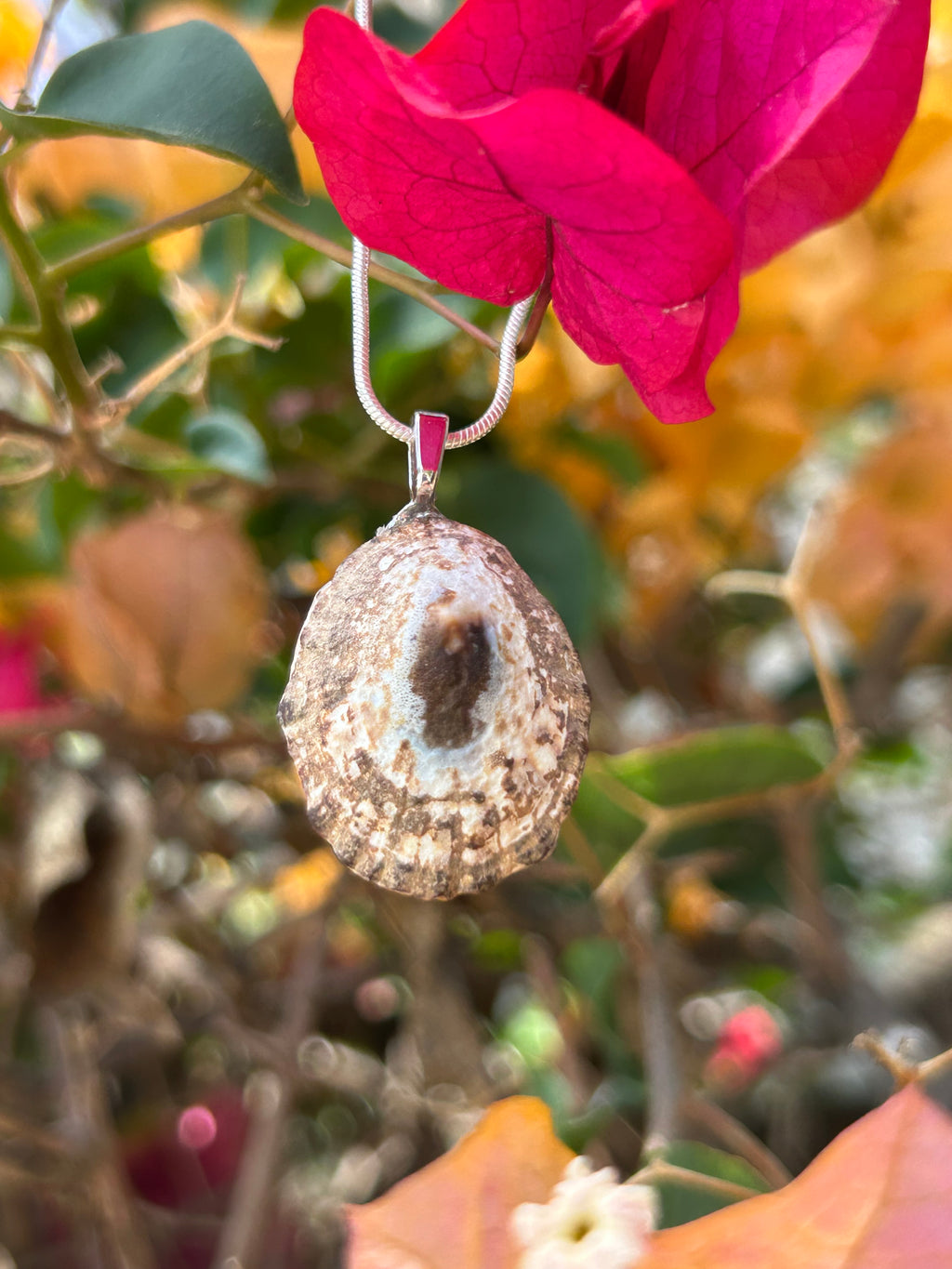 Sunlit Tide Shell Pendant