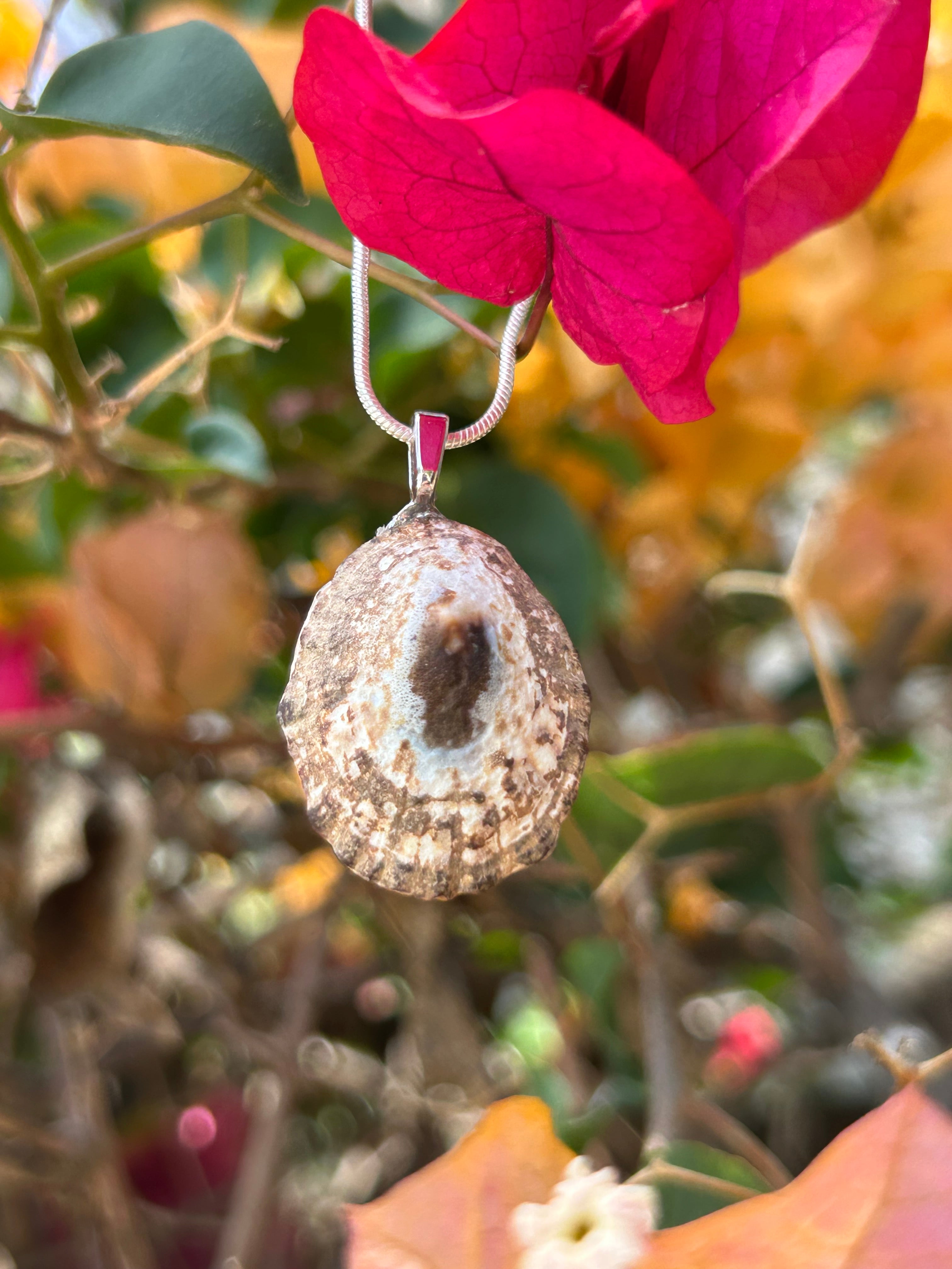 Sunlit Tide Shell Pendant