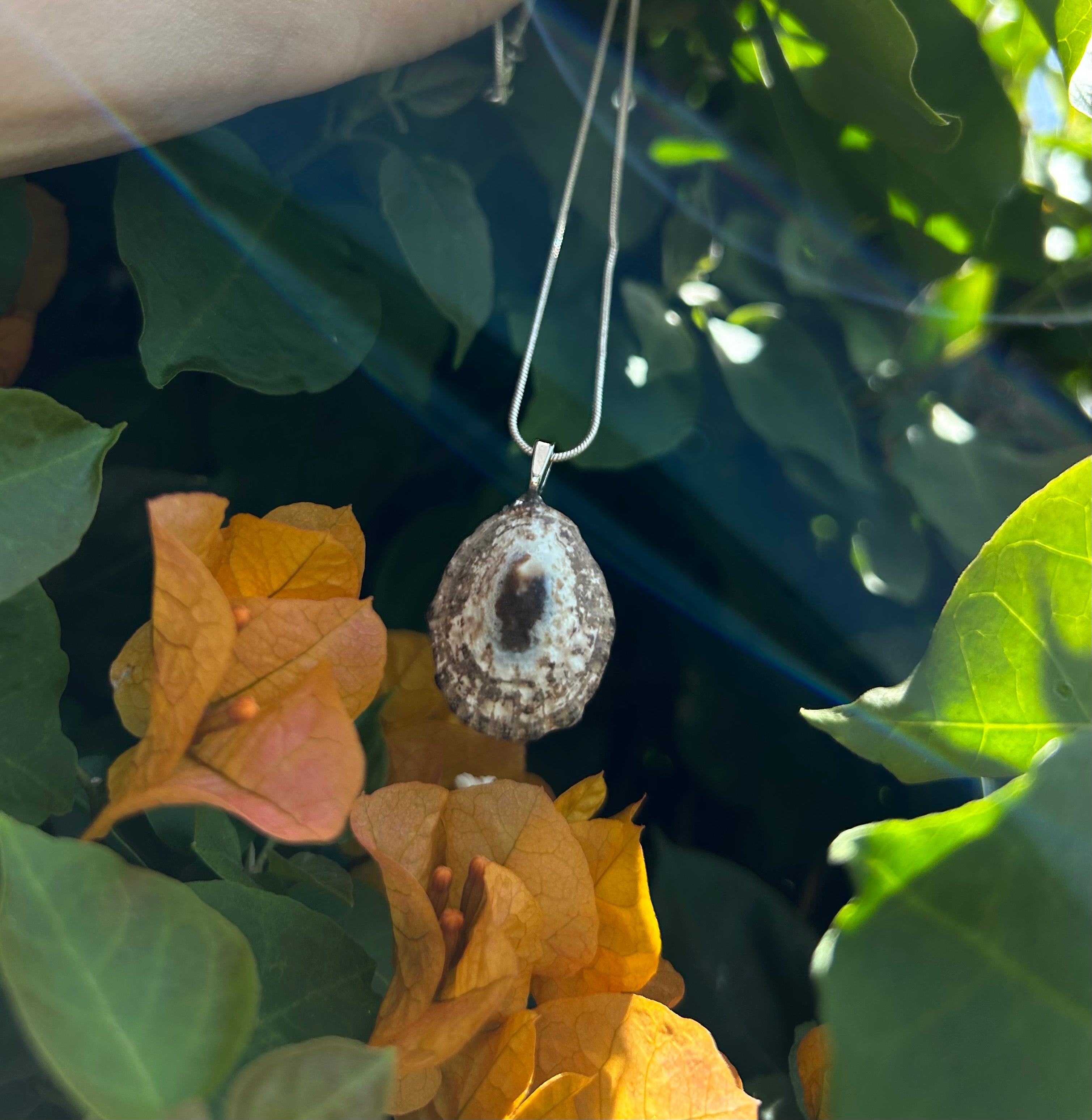 Sunlit Tide Shell Pendant