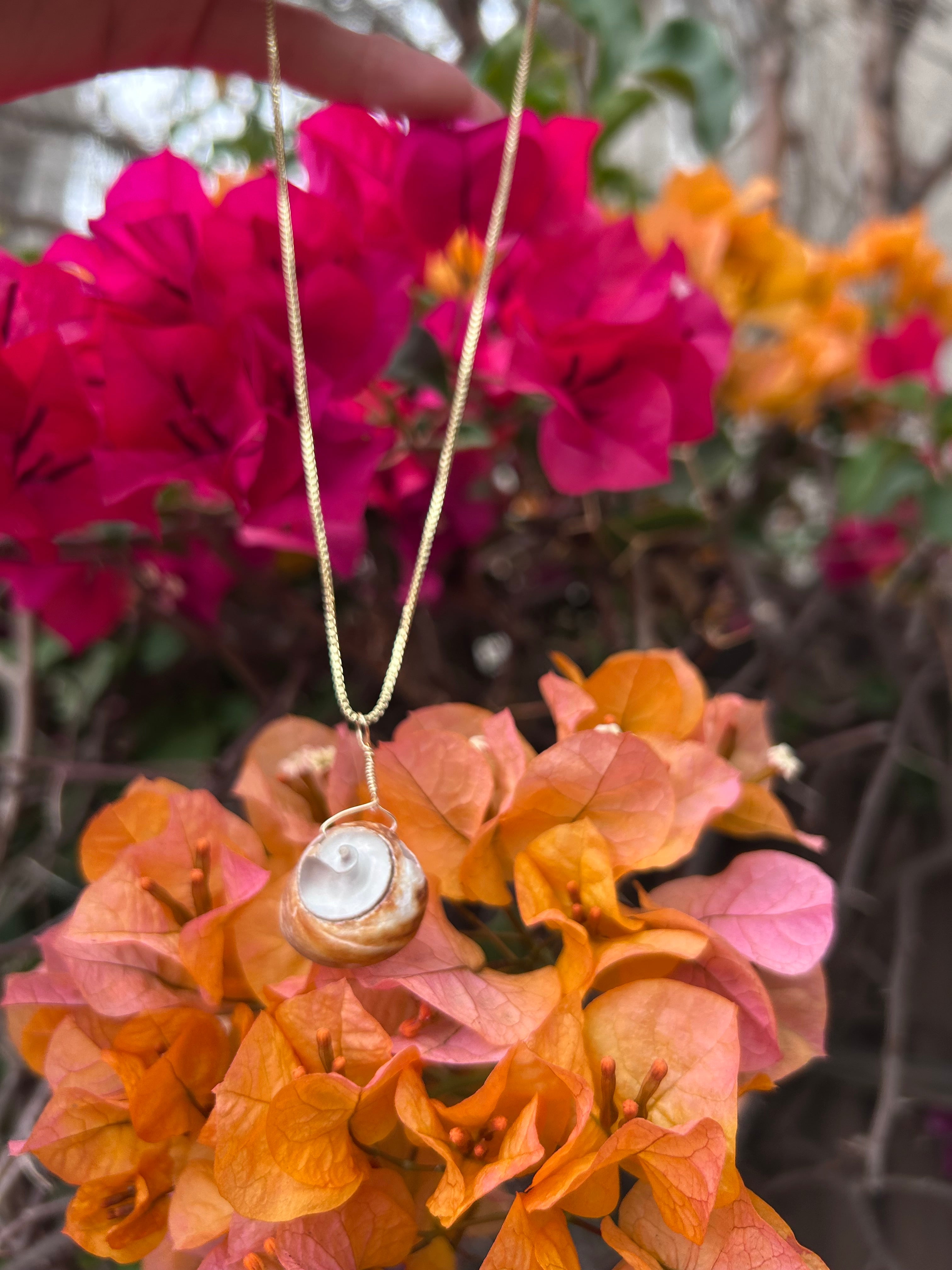 Moon Snail Shell Pendant