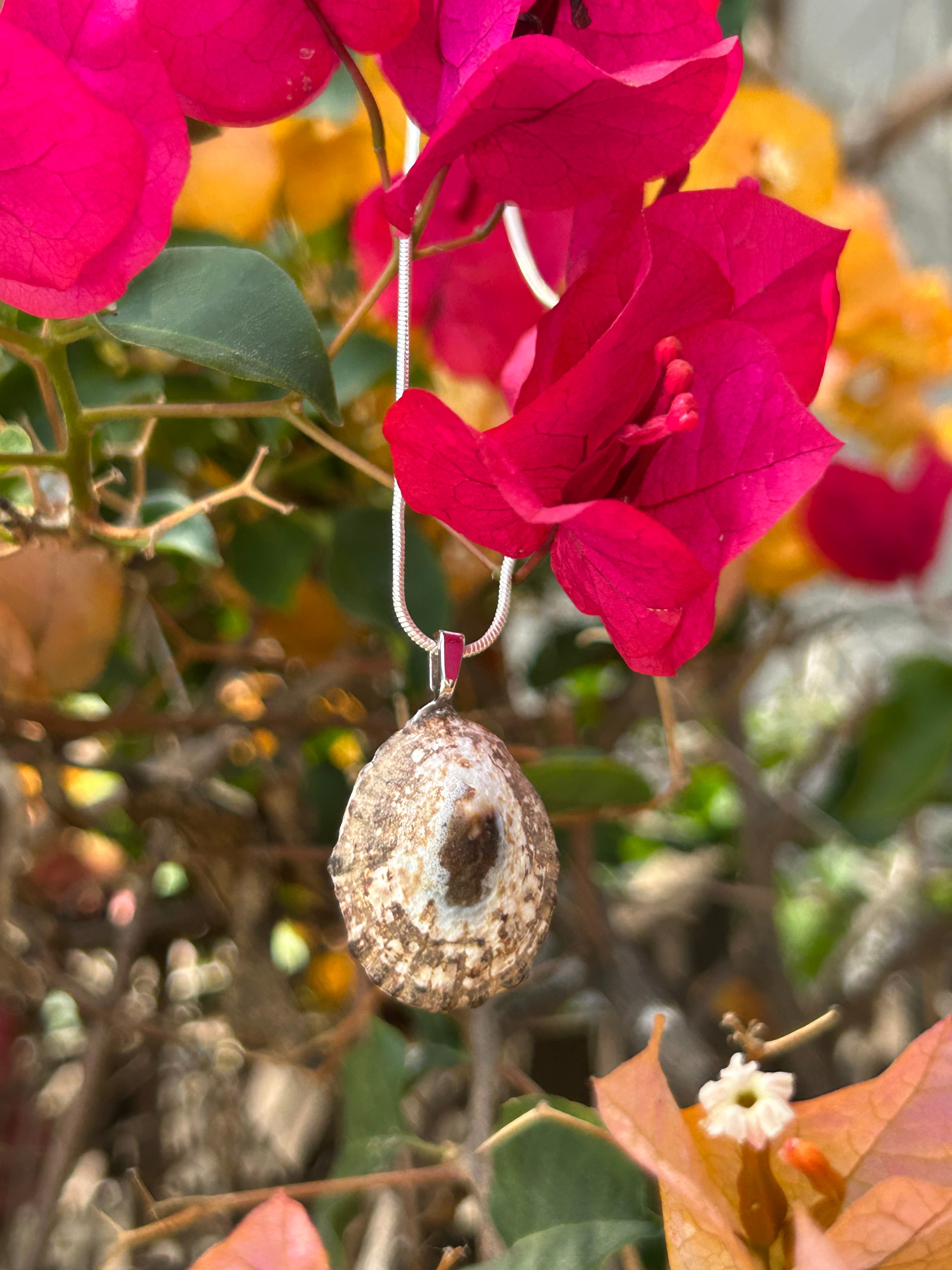 Sunlit Tide Shell Pendant