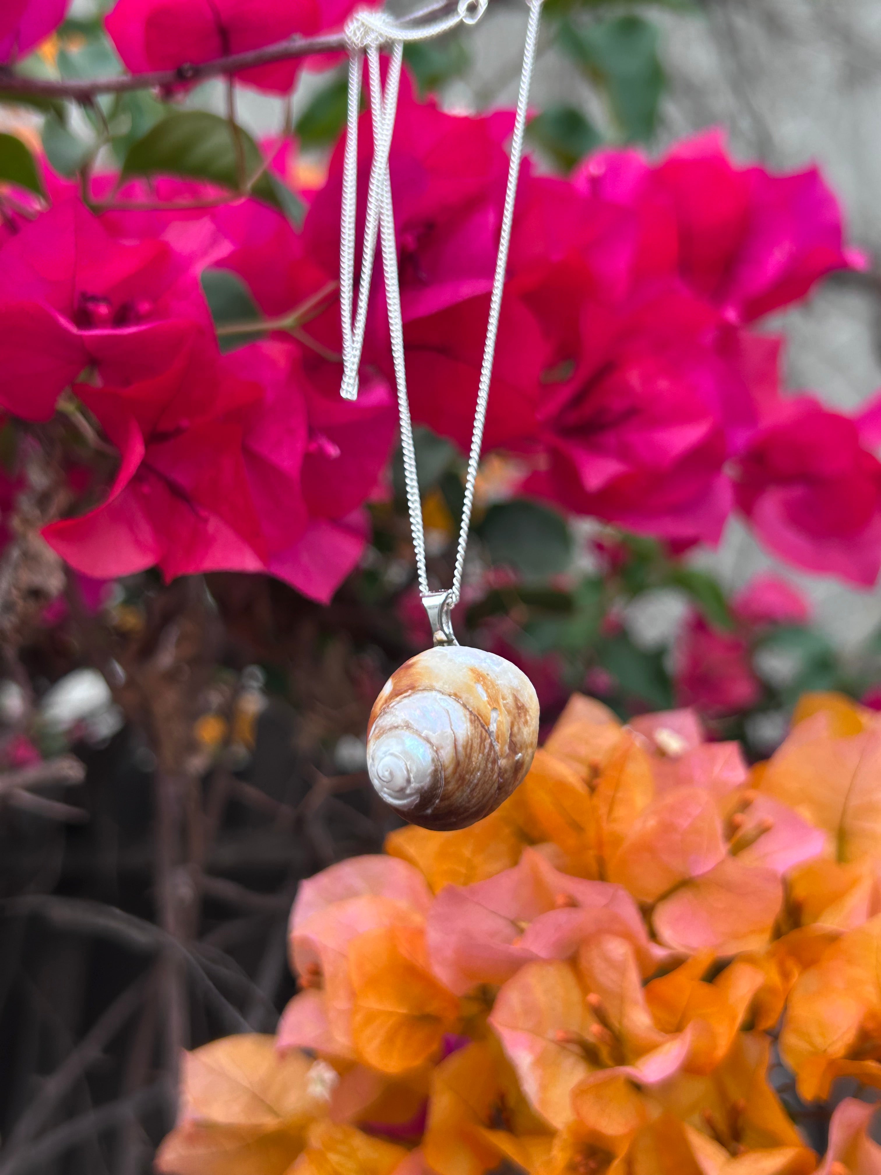 Coastal Drift Shell Pendant
