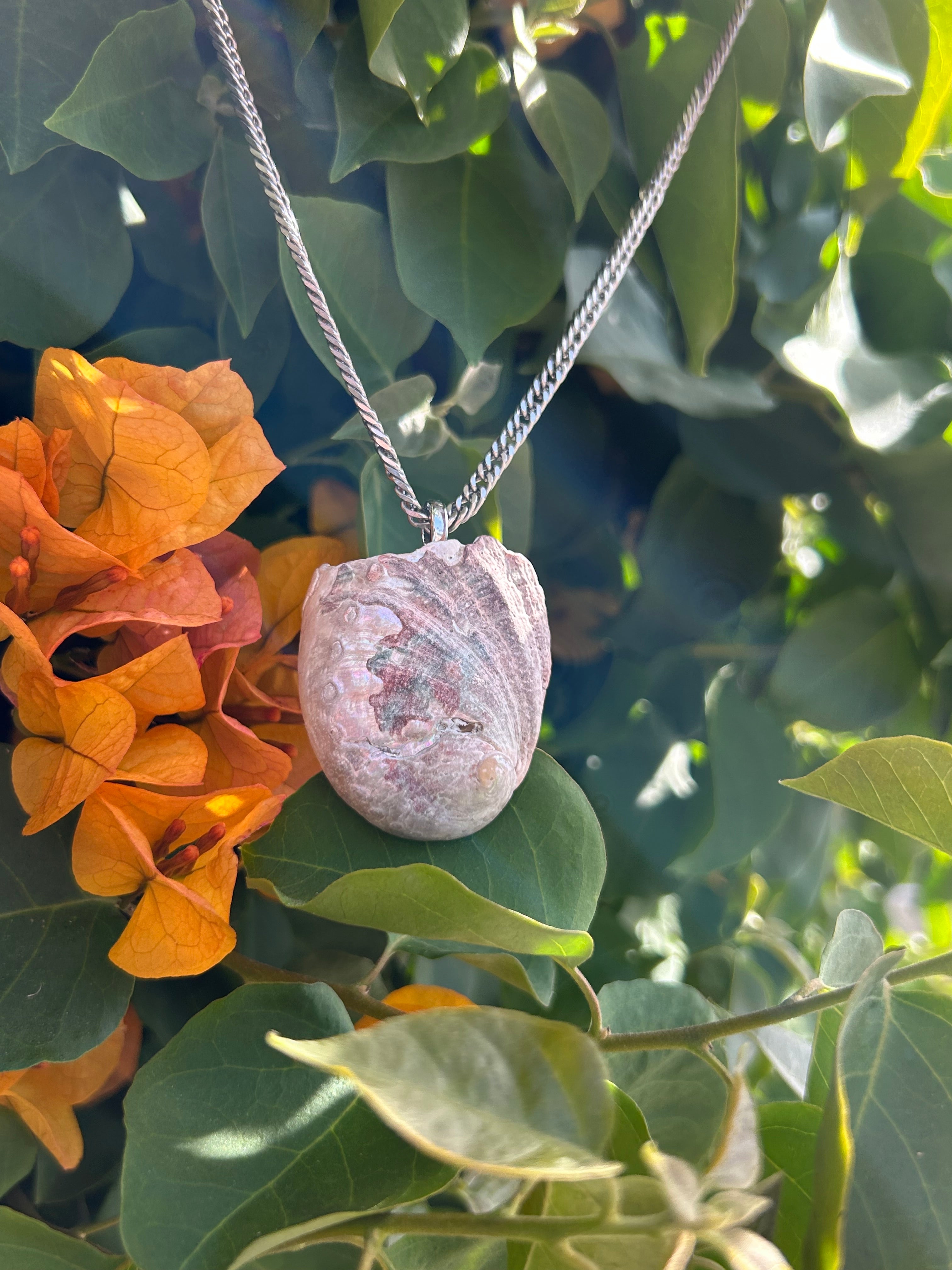 Pacific Tide Abalone Shell Pendant