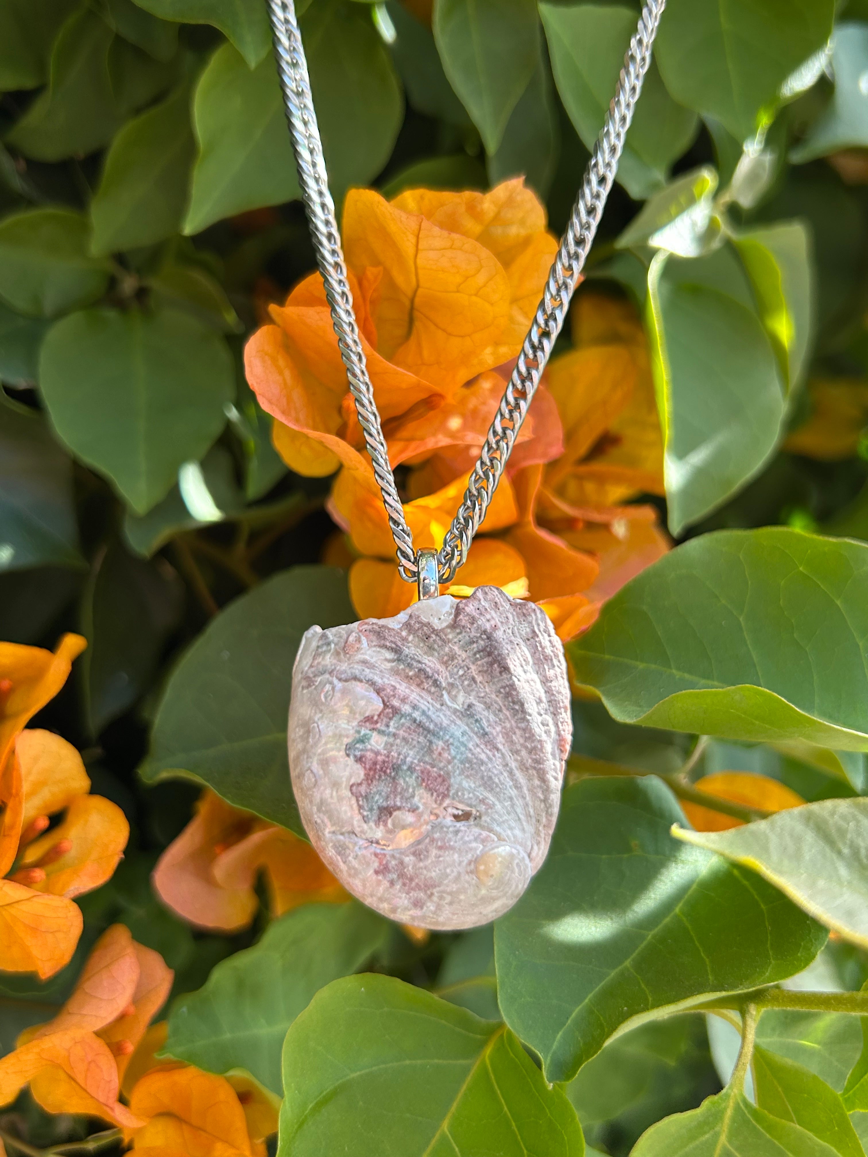 Pacific Tide Abalone Shell Pendant