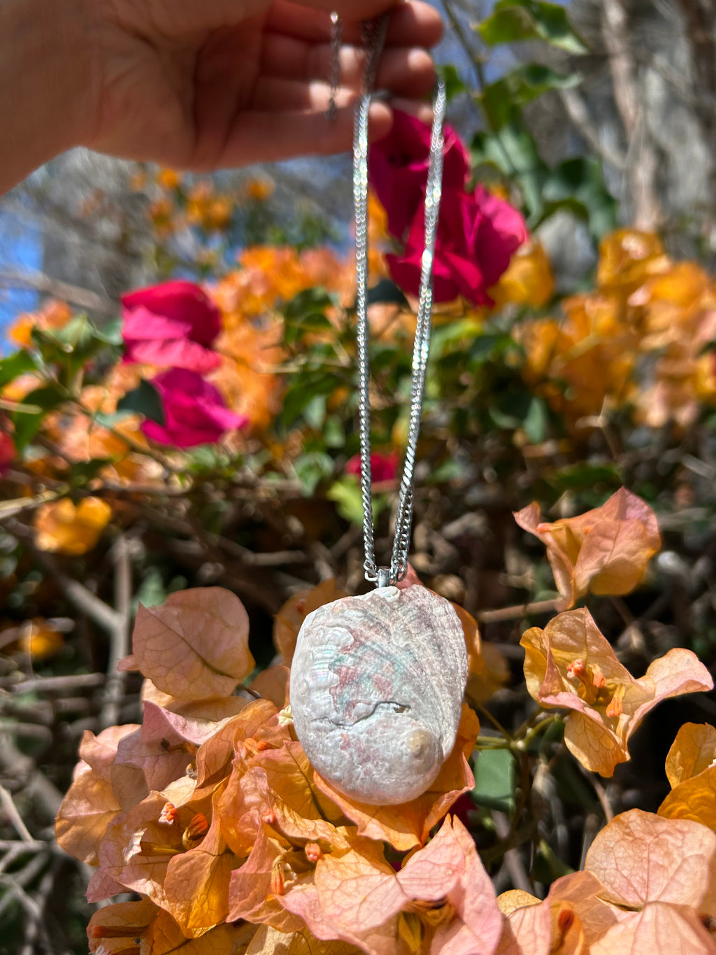 Pacific Tide Abalone Shell Pendant