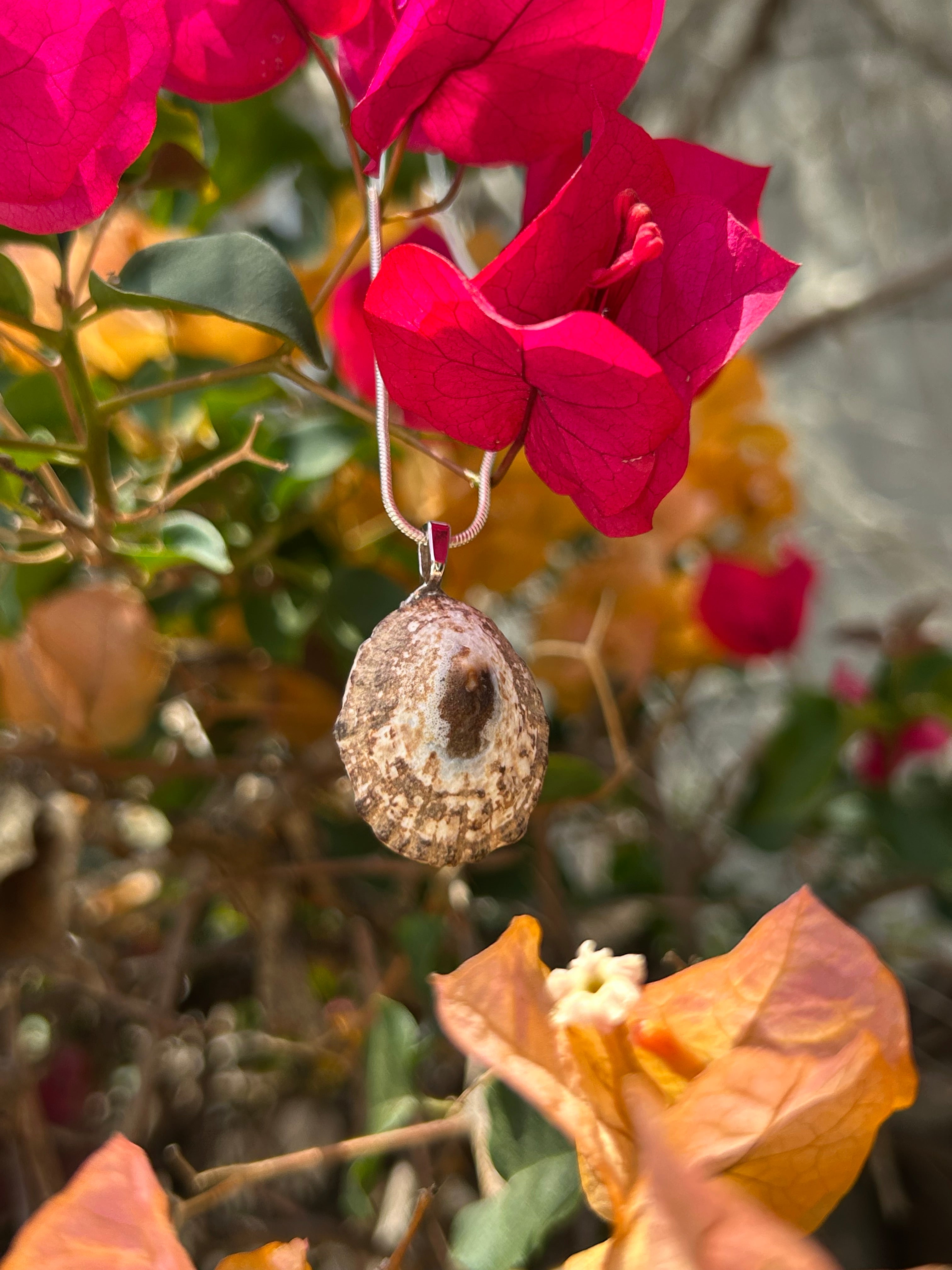 Sunlit Tide Shell Pendant