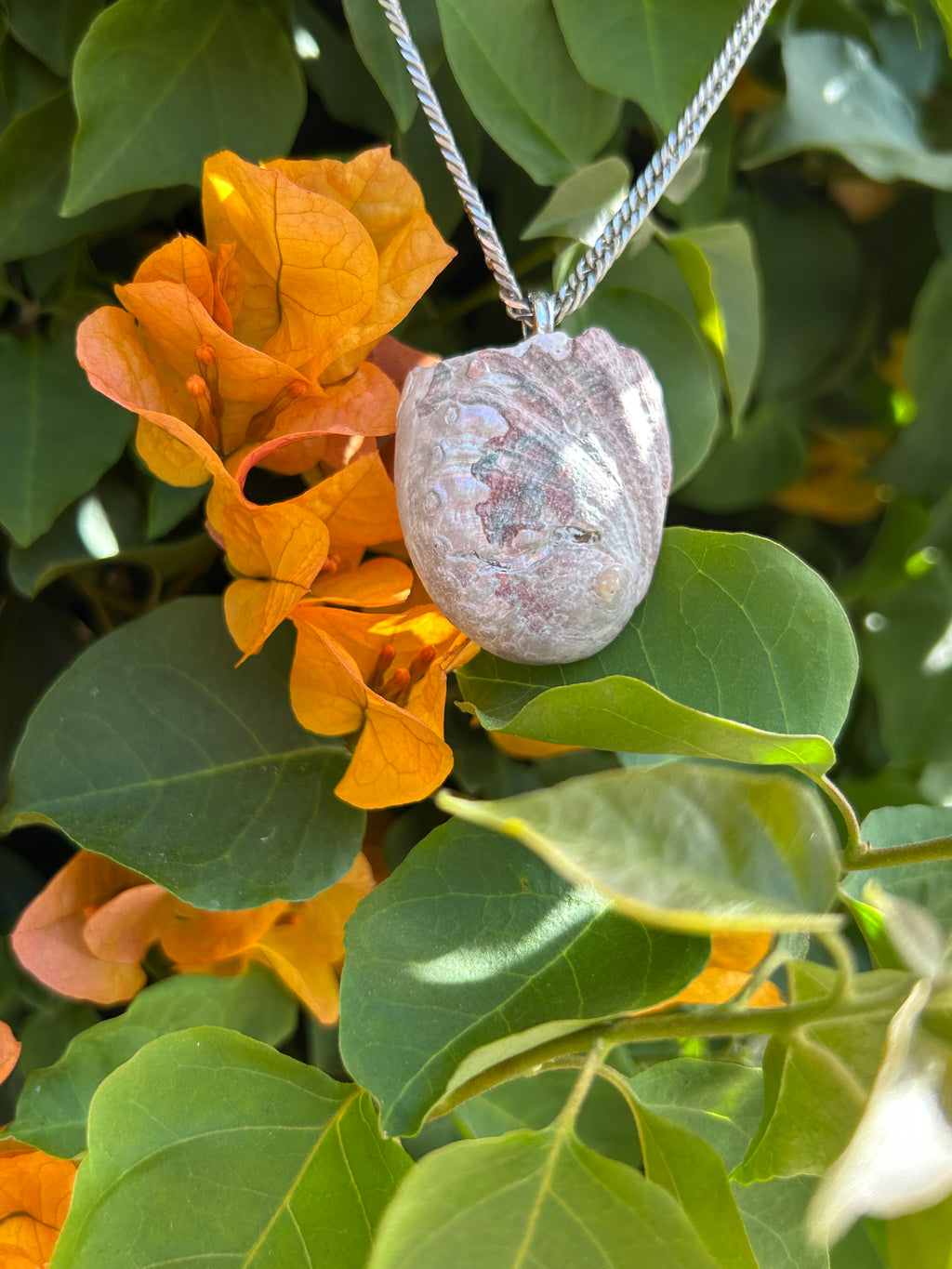 Pacific Tide Abalone Shell Pendant