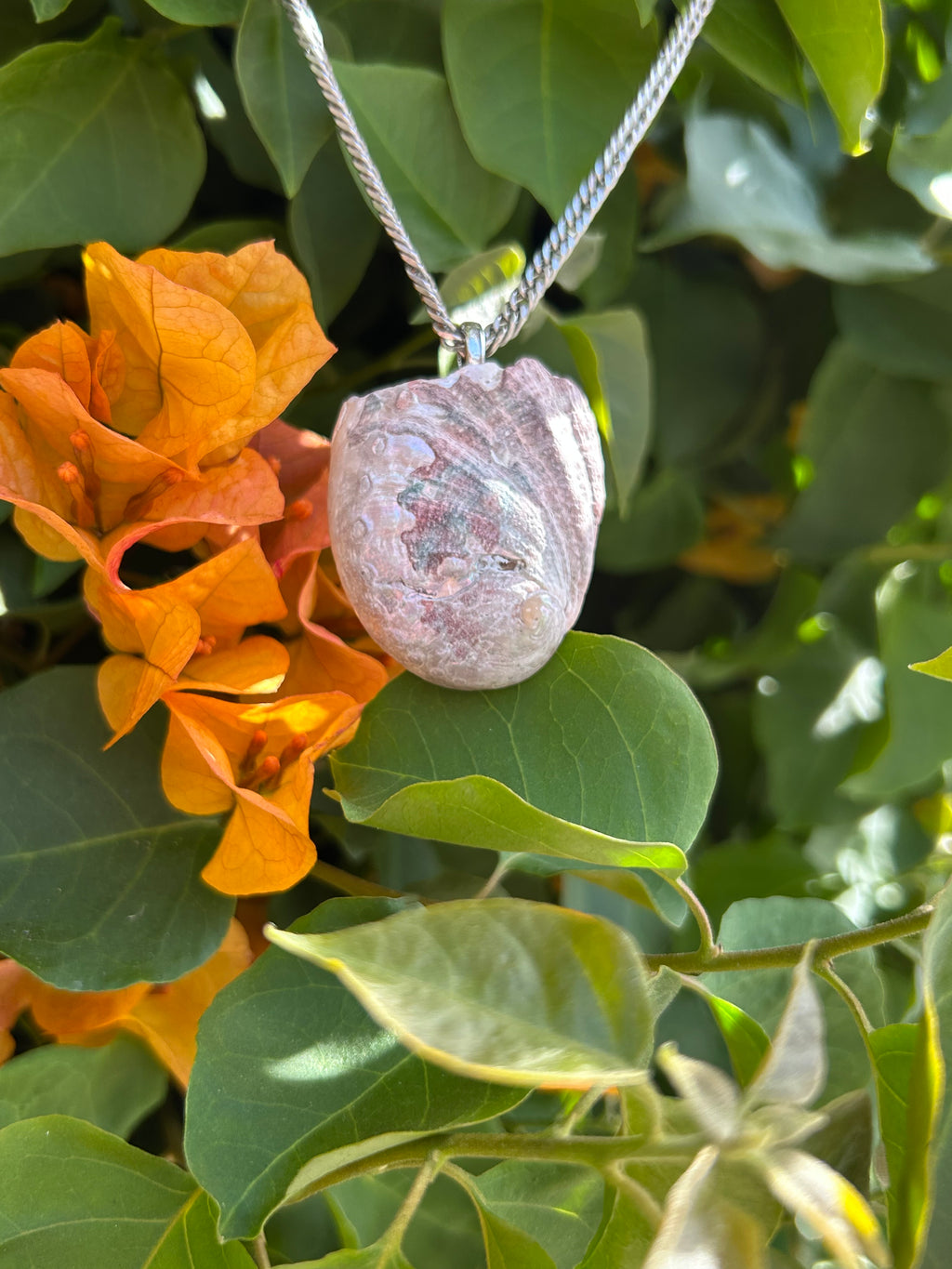 Pacific Tide Abalone Shell Pendant