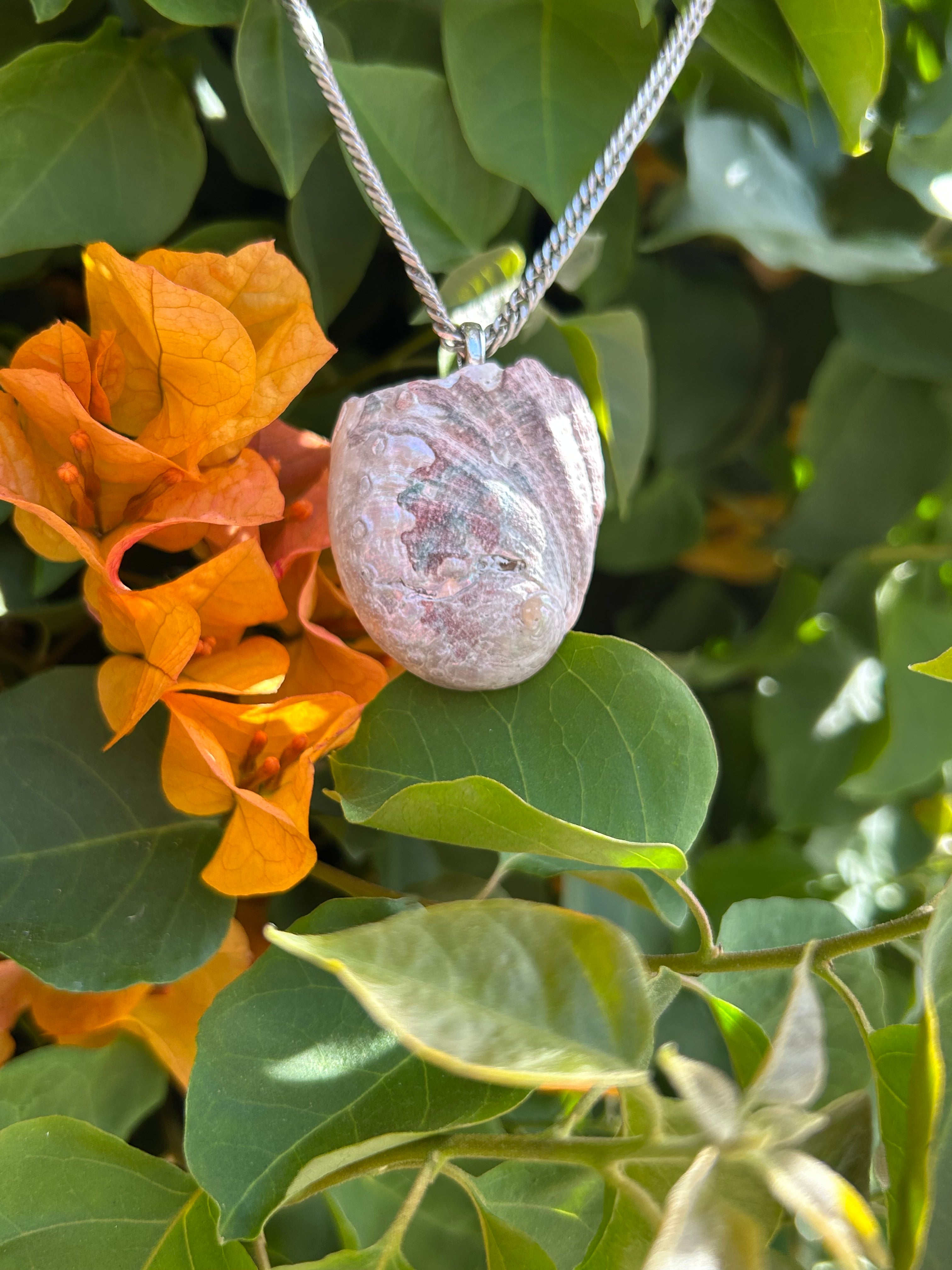 Pacific Tide Abalone Shell Pendant