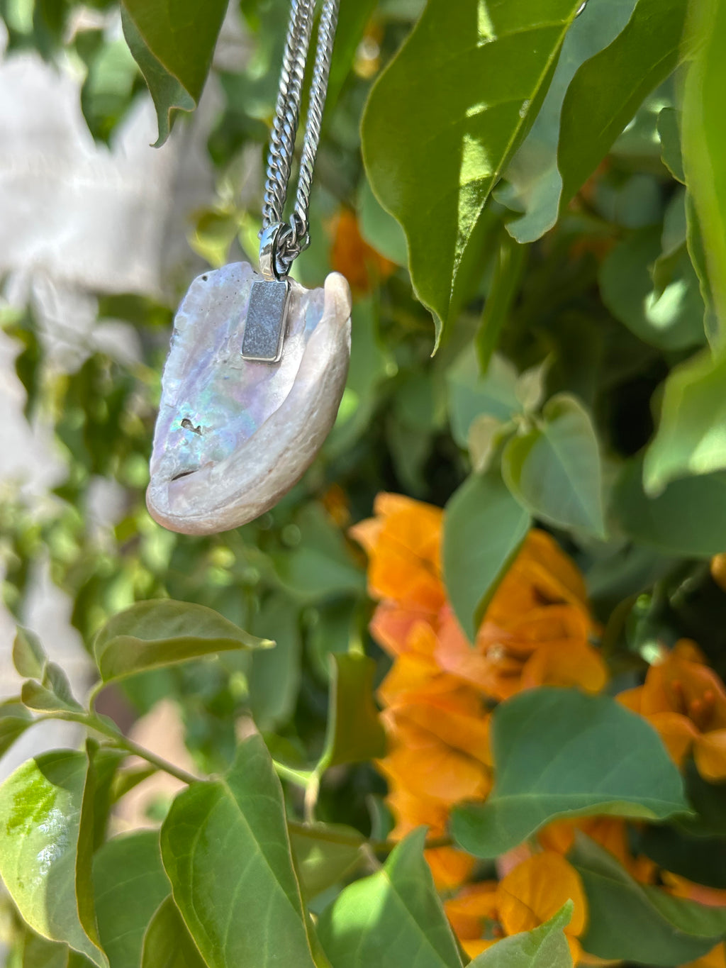 Pacific Tide Abalone Shell Pendant