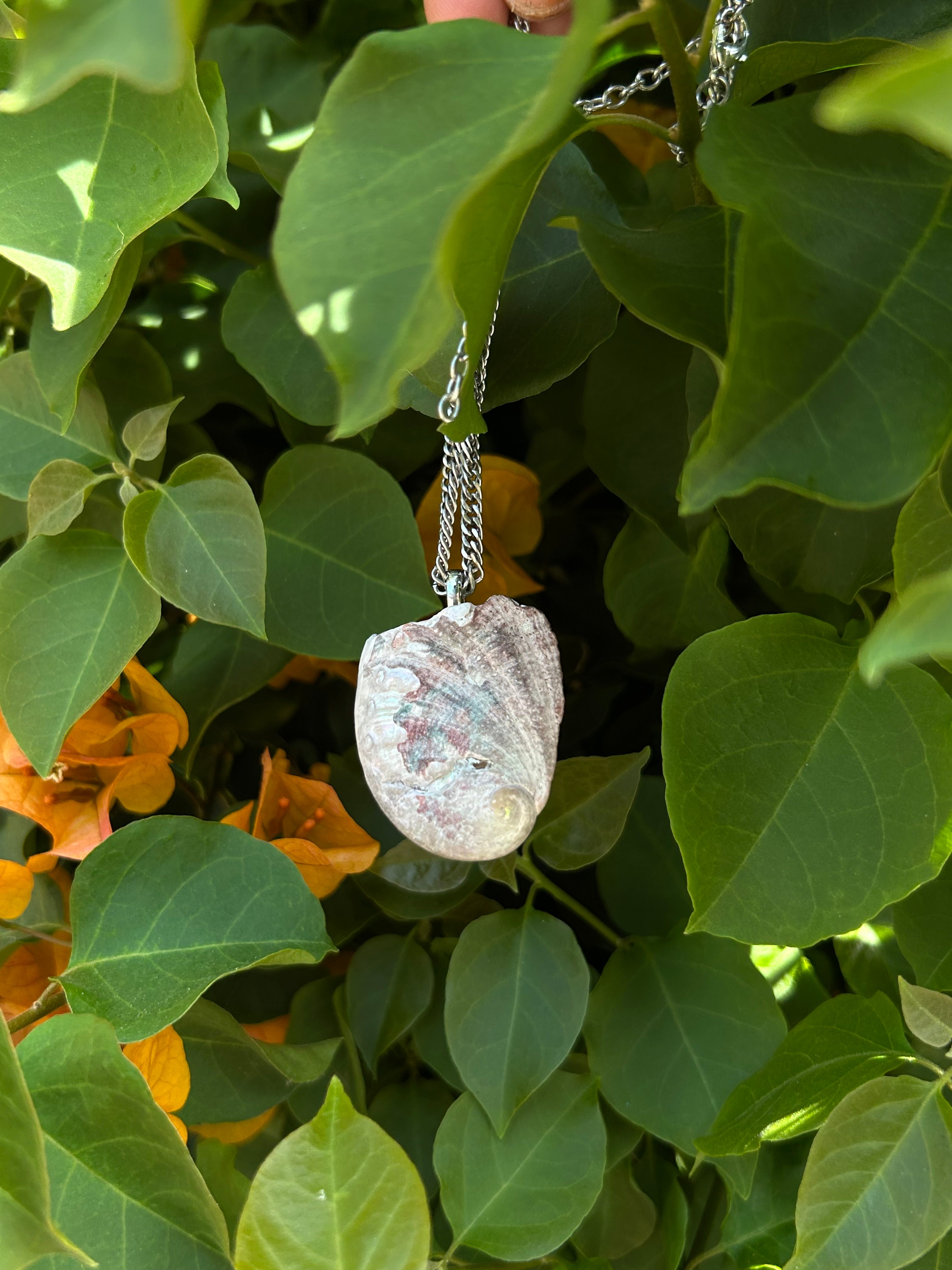 Pacific Tide Abalone Shell Pendant