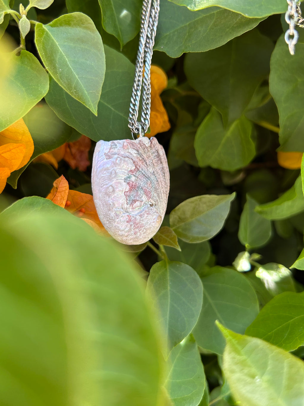 Pacific Tide Abalone Shell Pendant