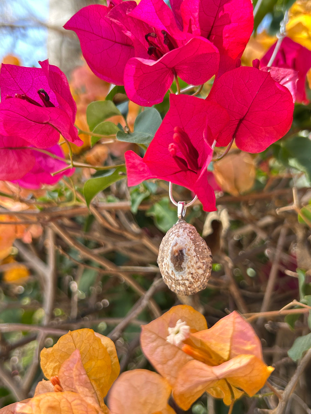 Sunlit Tide Shell Pendant