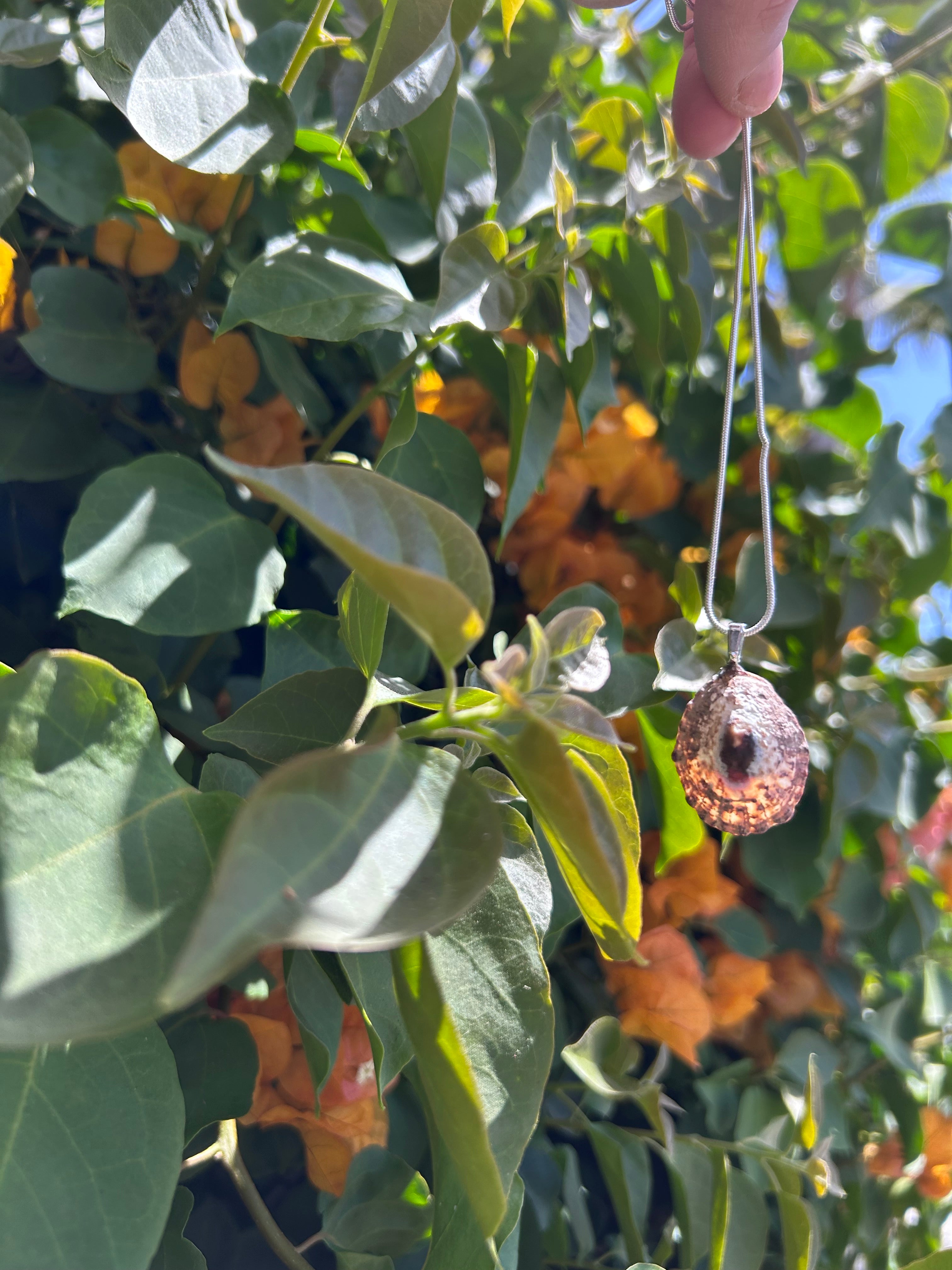 Sunlit Tide Shell Pendant