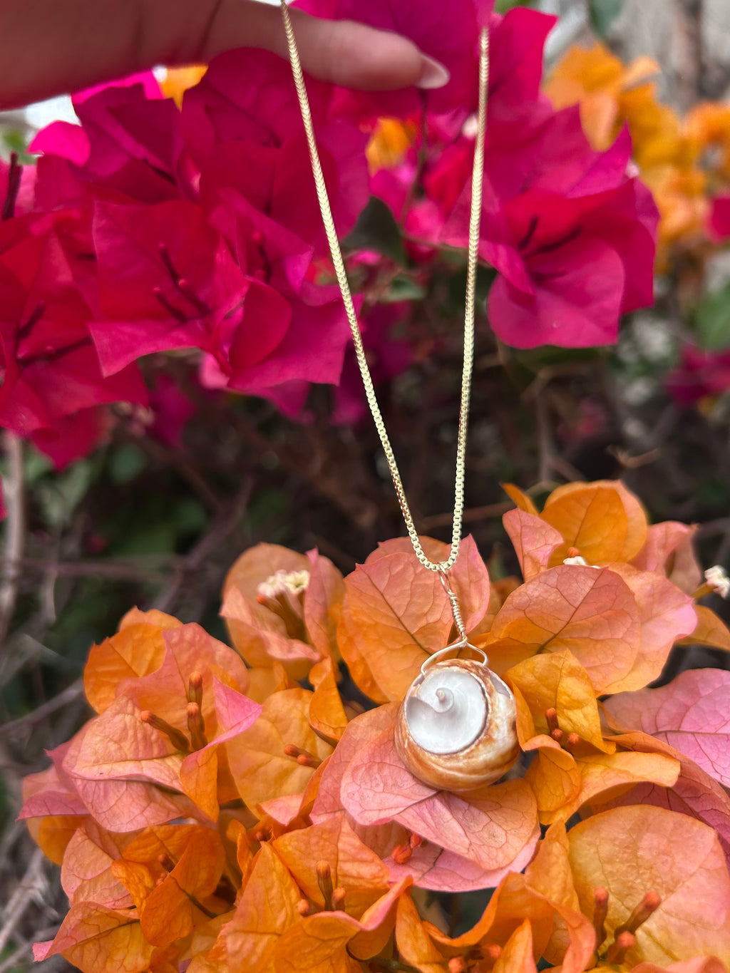 Moon Snail Shell Pendant