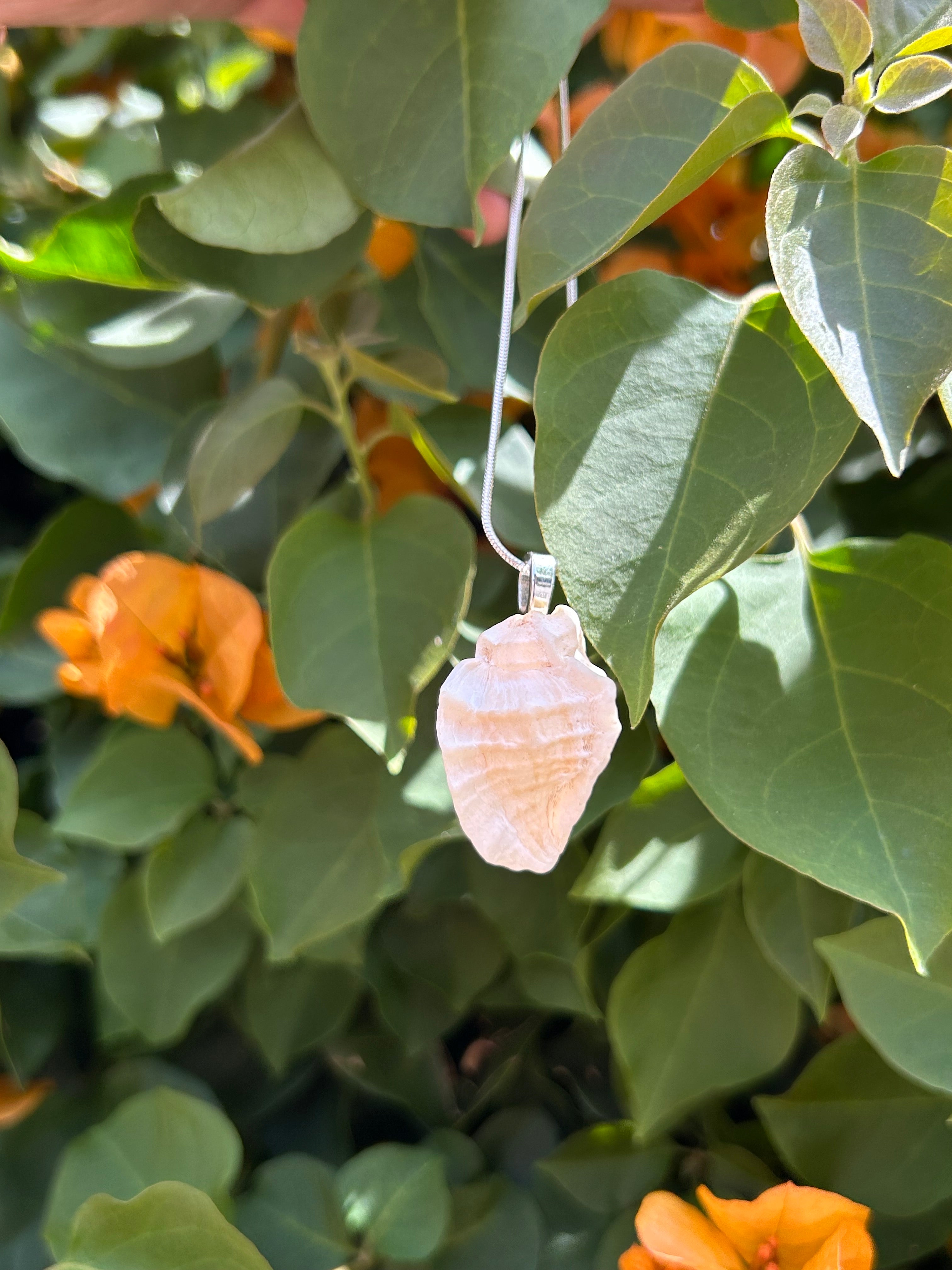 Ocean Whisper Shell Pendant