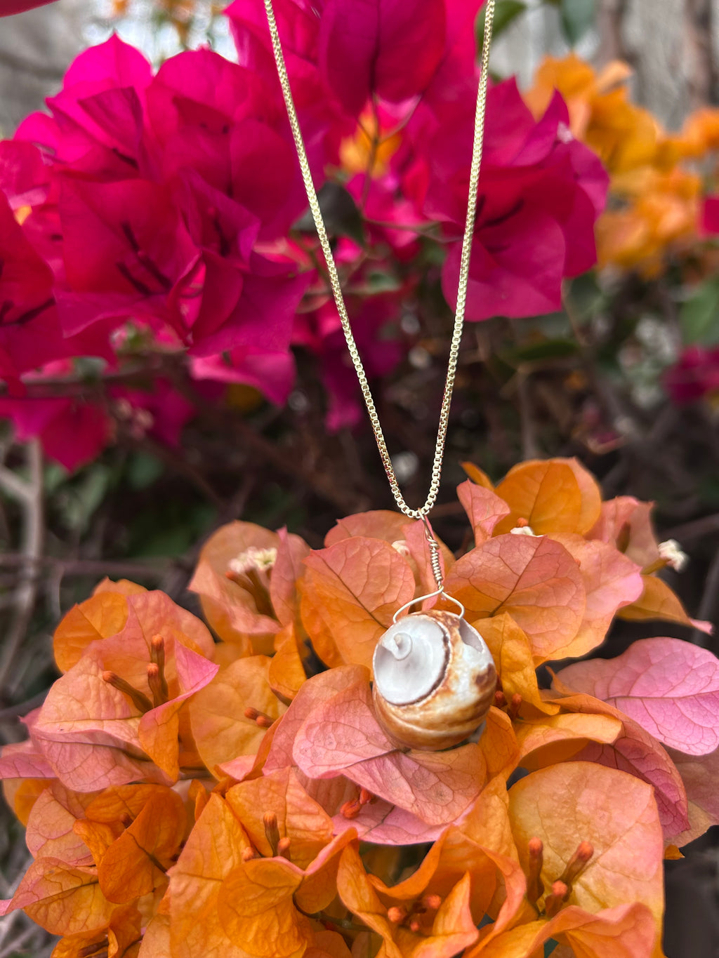 Moon Snail Shell Pendant