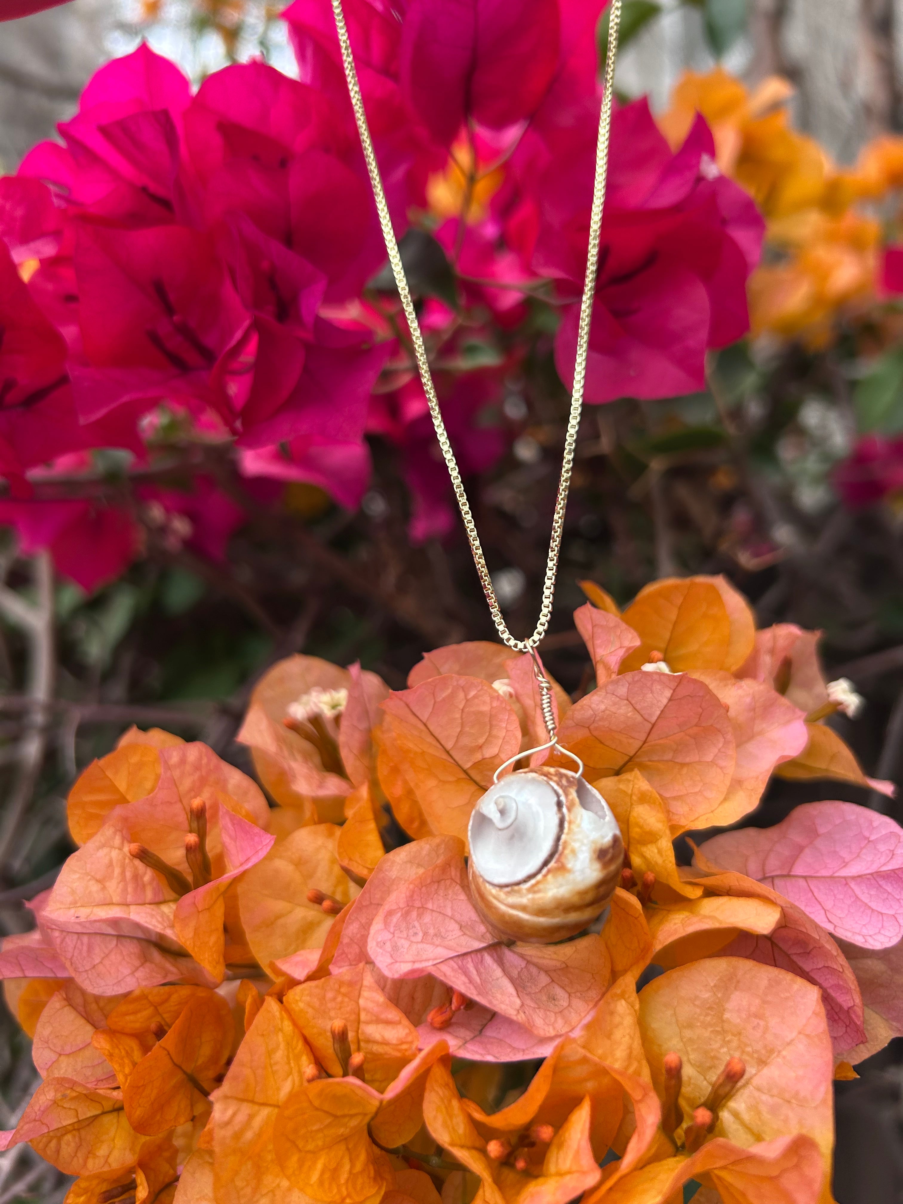 Moon Snail Shell Pendant