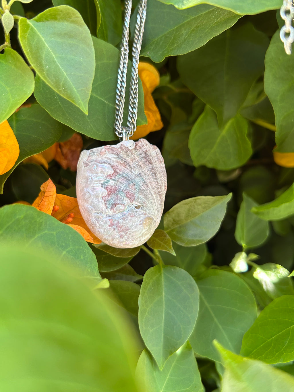 Pacific Tide Abalone Shell Pendant