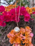 Moon Snail Shell Pendant