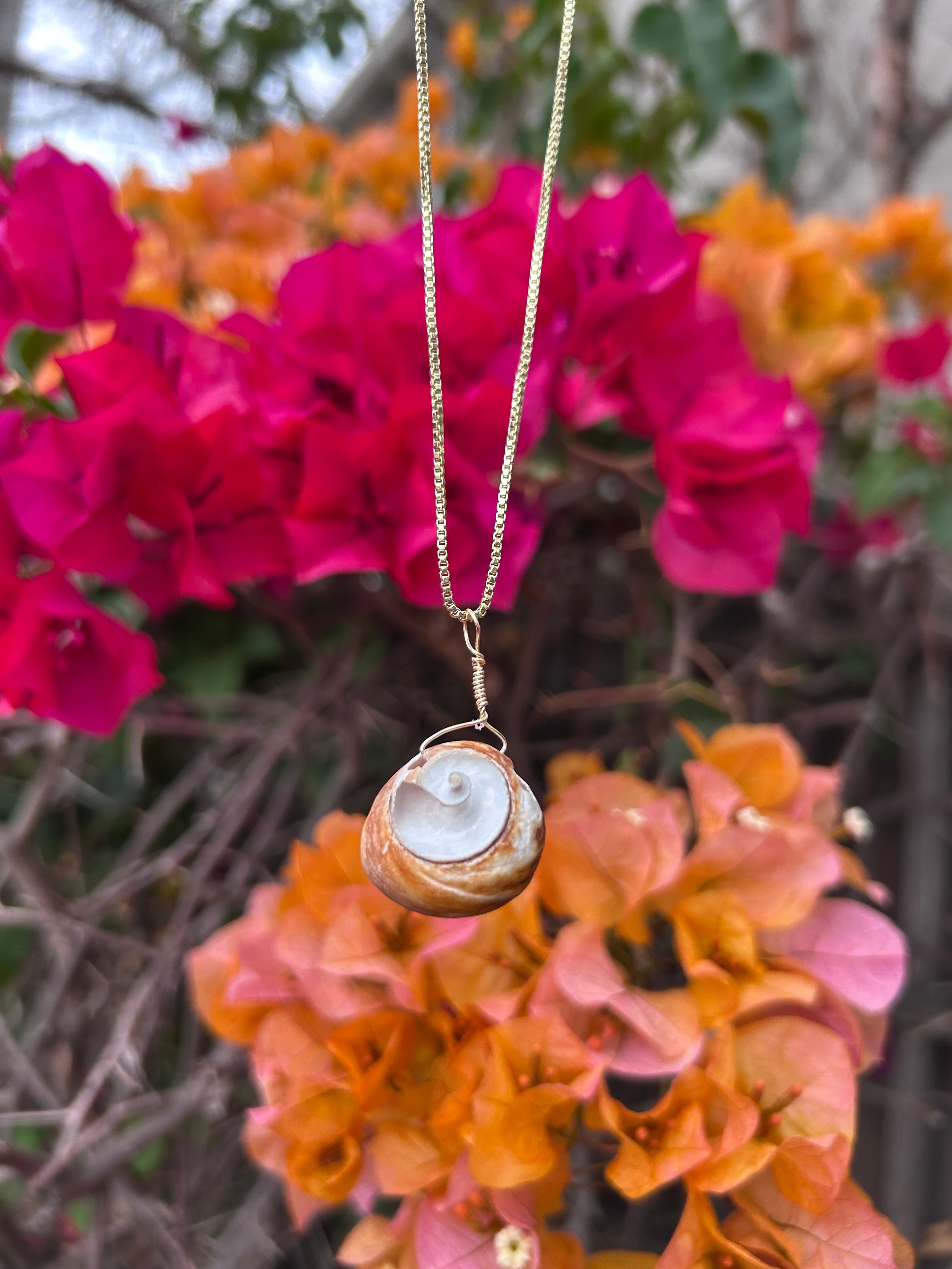 Moon Snail Shell Pendant