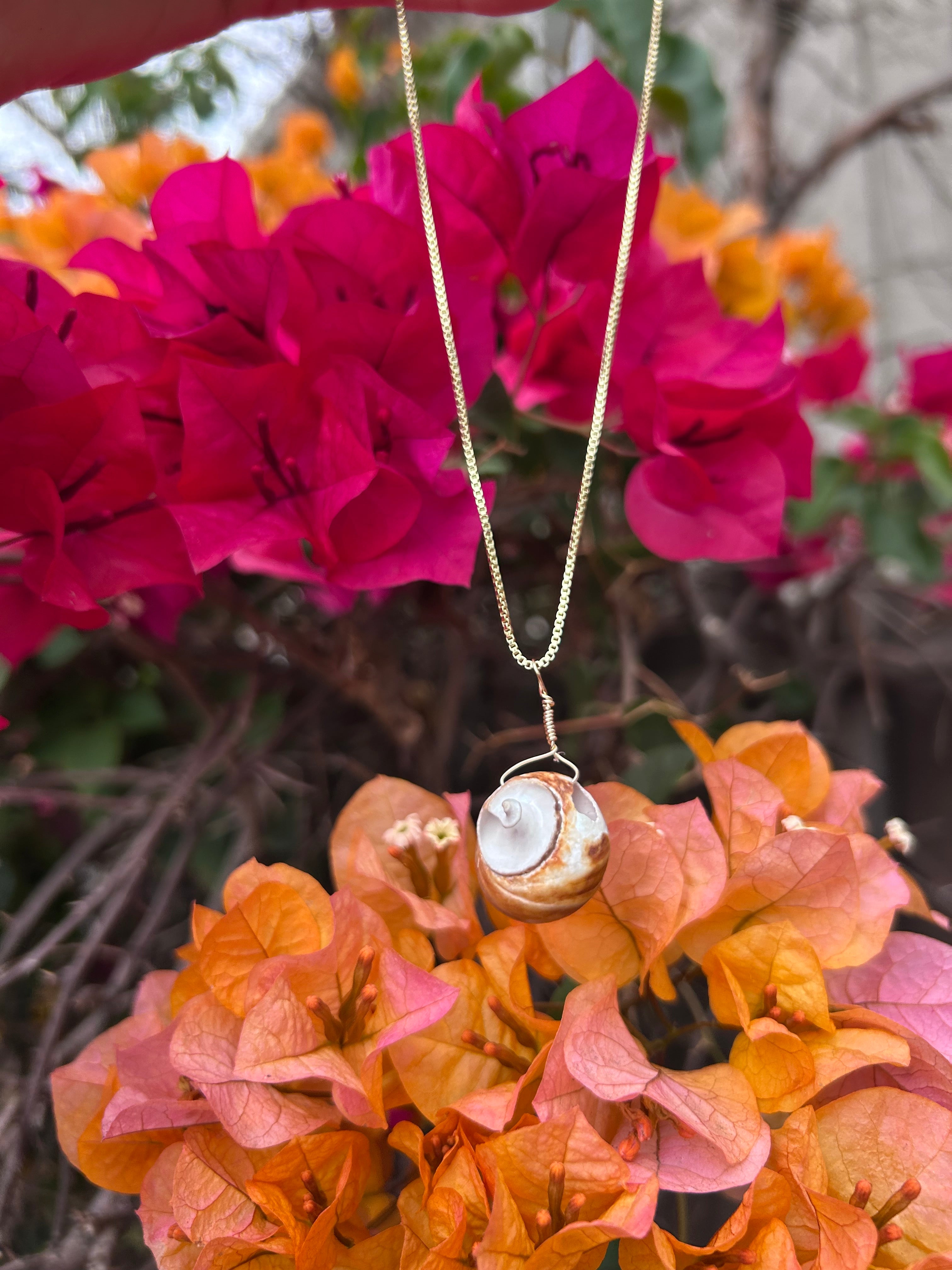Moon Snail Shell Pendant