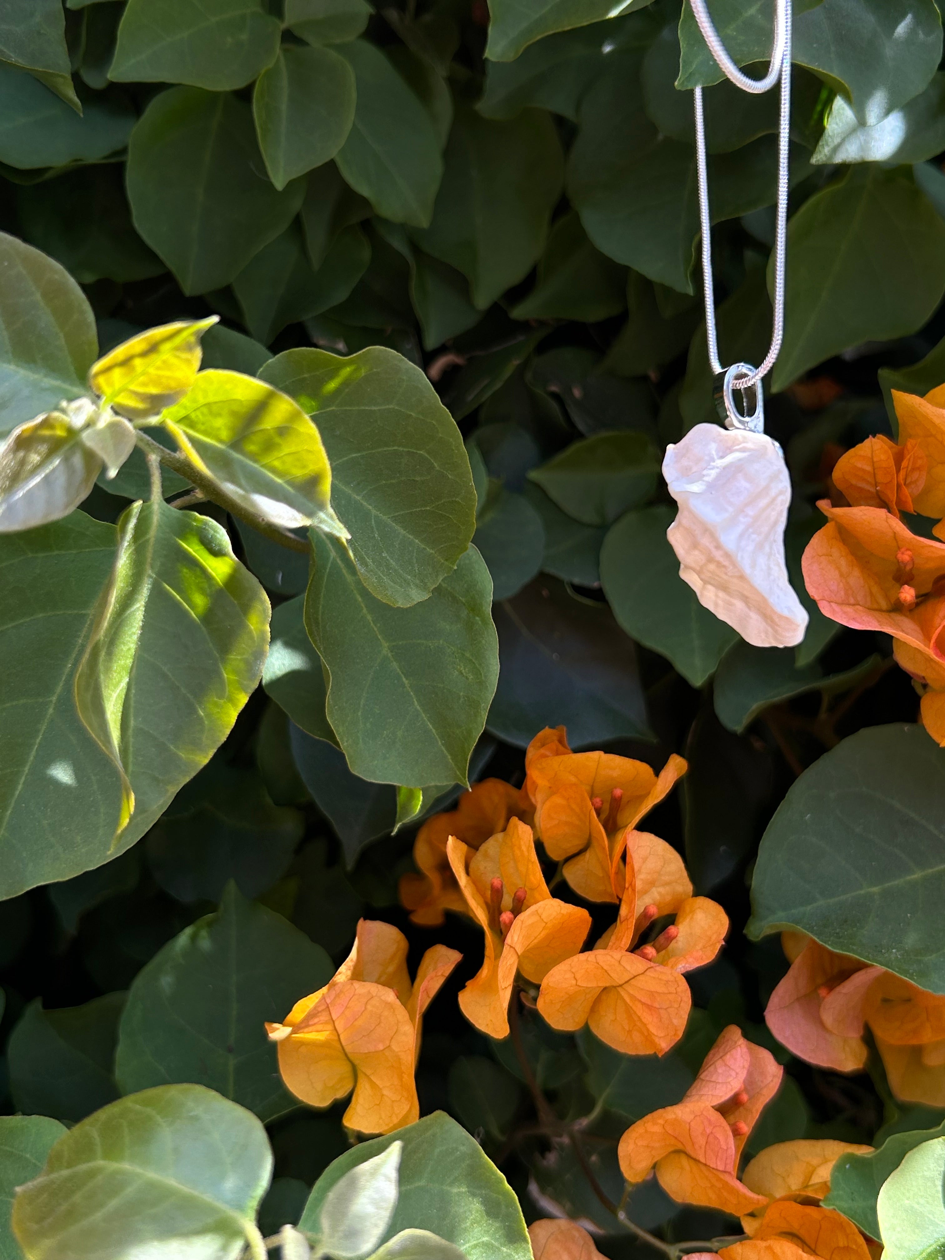 Ocean Whisper Shell Pendant