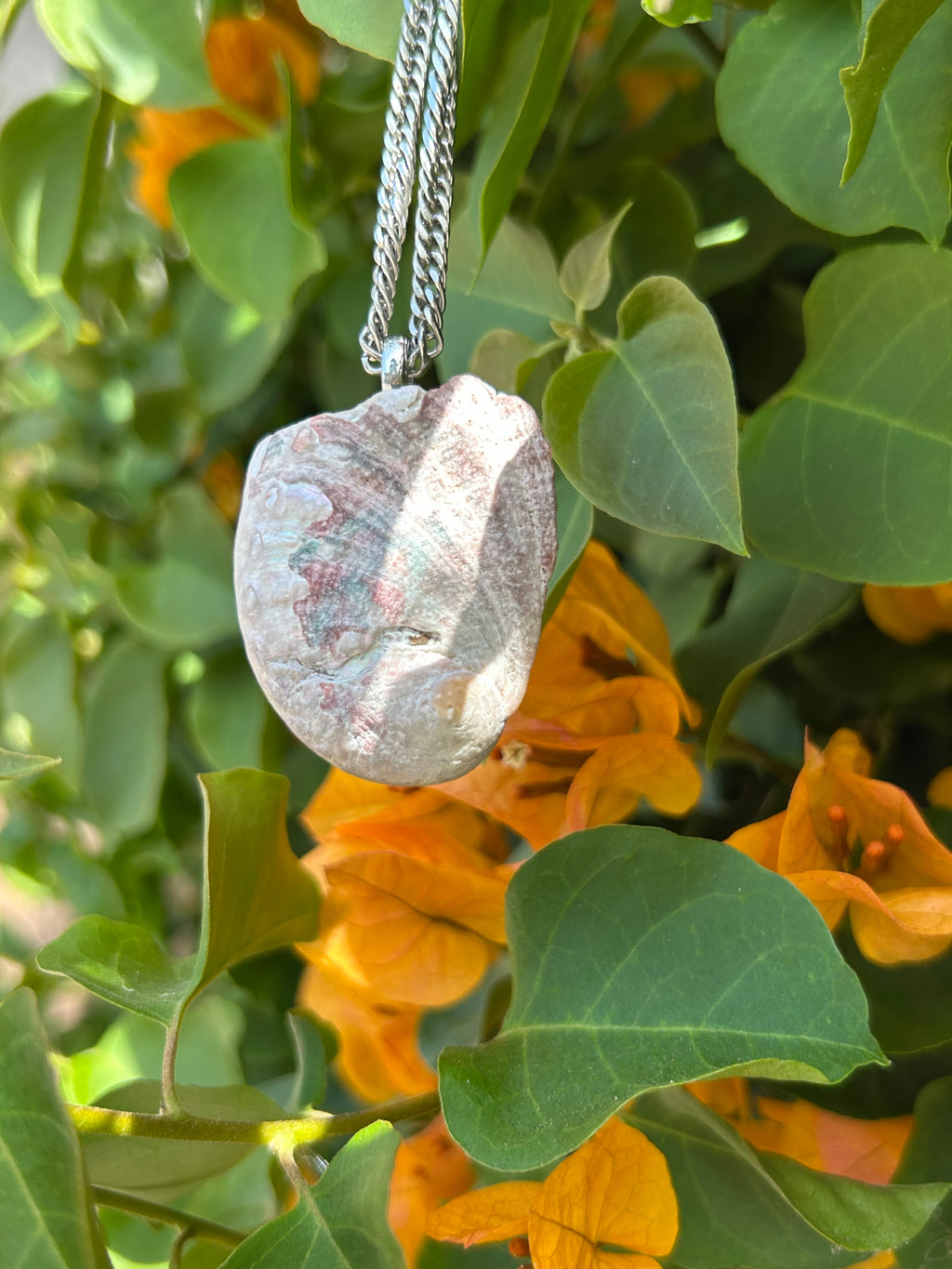 Pacific Tide Abalone Shell Pendant