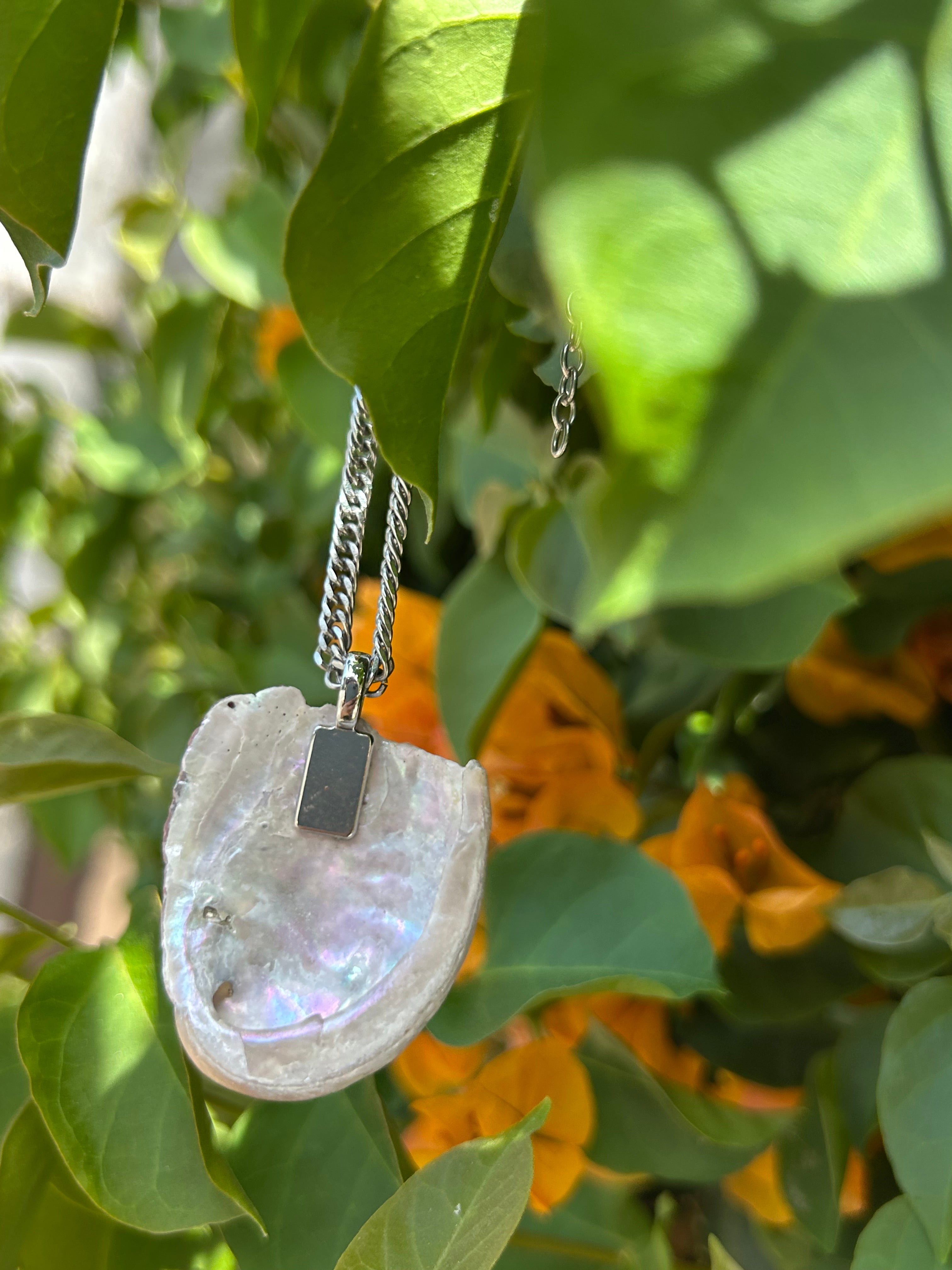 Pacific Tide Abalone Shell Pendant