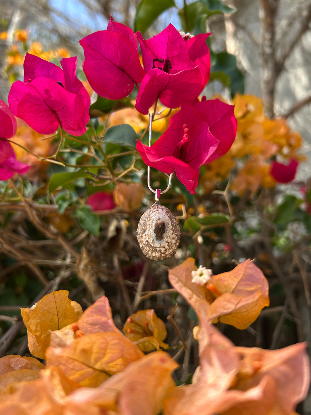 Sunlit Tide Shell Pendant